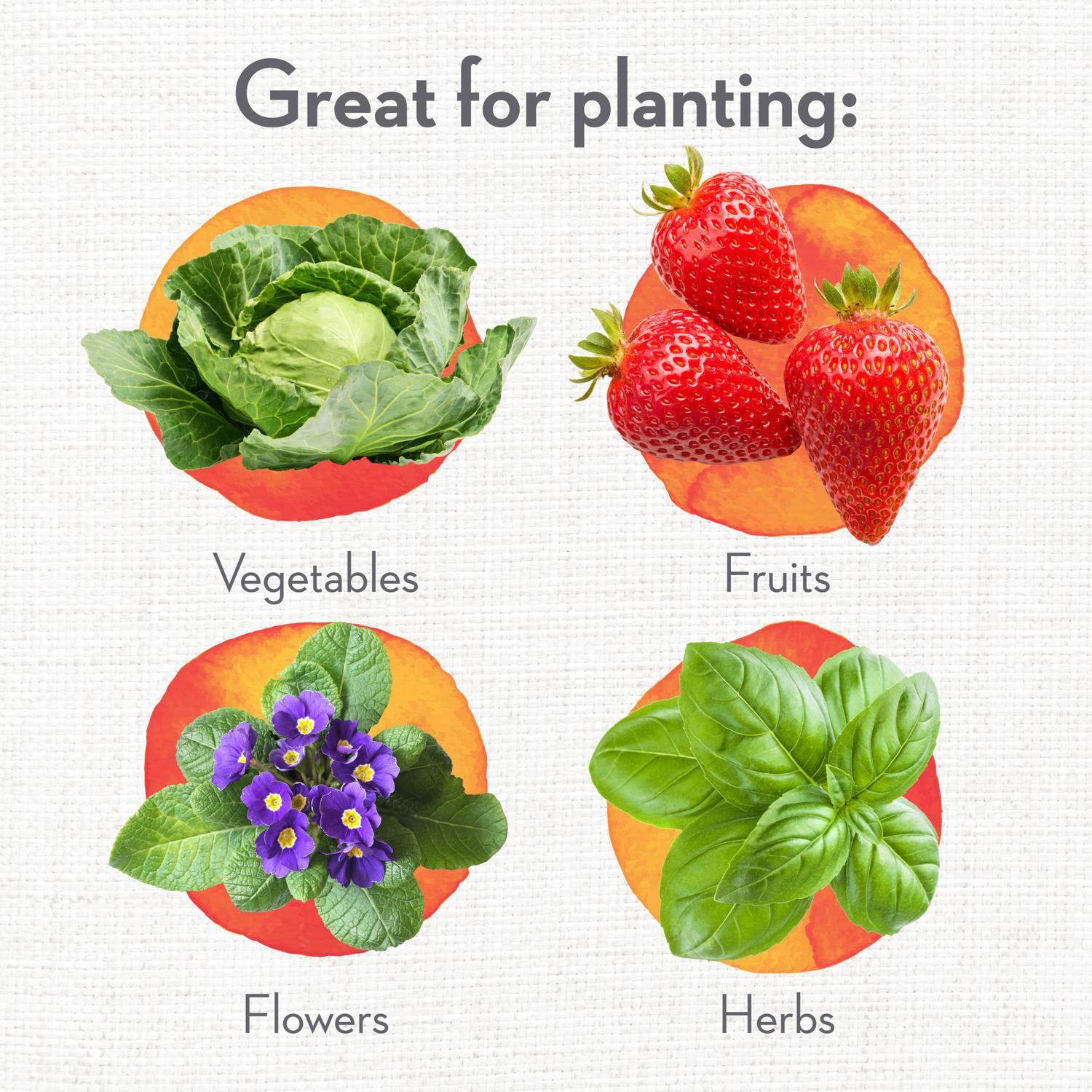 Whitney Farms Organic Fruit and Vegetable Raised Bed Mix 1.5 cu ft