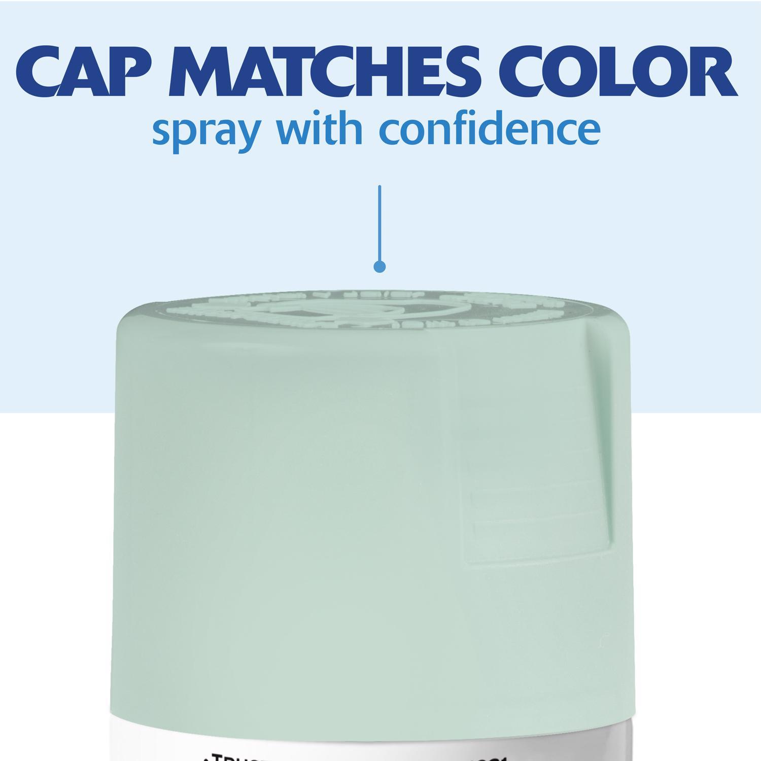 Rust-Oleum Painter's Touch 2X Ultra Cover Satin Renew Paint+Primer Spray Paint 12 oz
