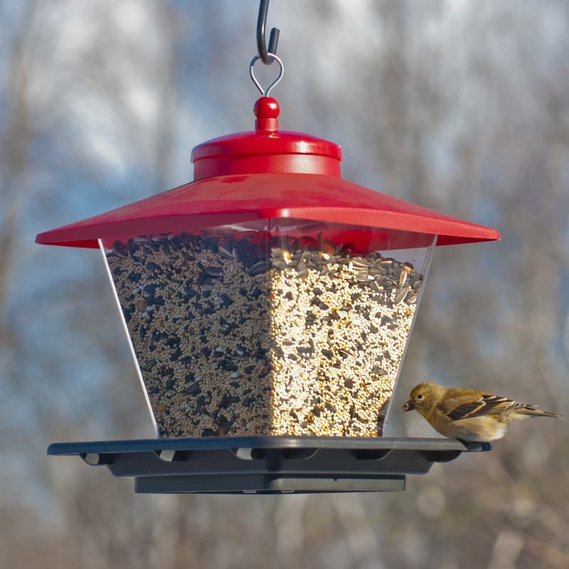Audubon Wild Bird 7 lb Plastic Cafe Hopper Bird Feeder 4 ports