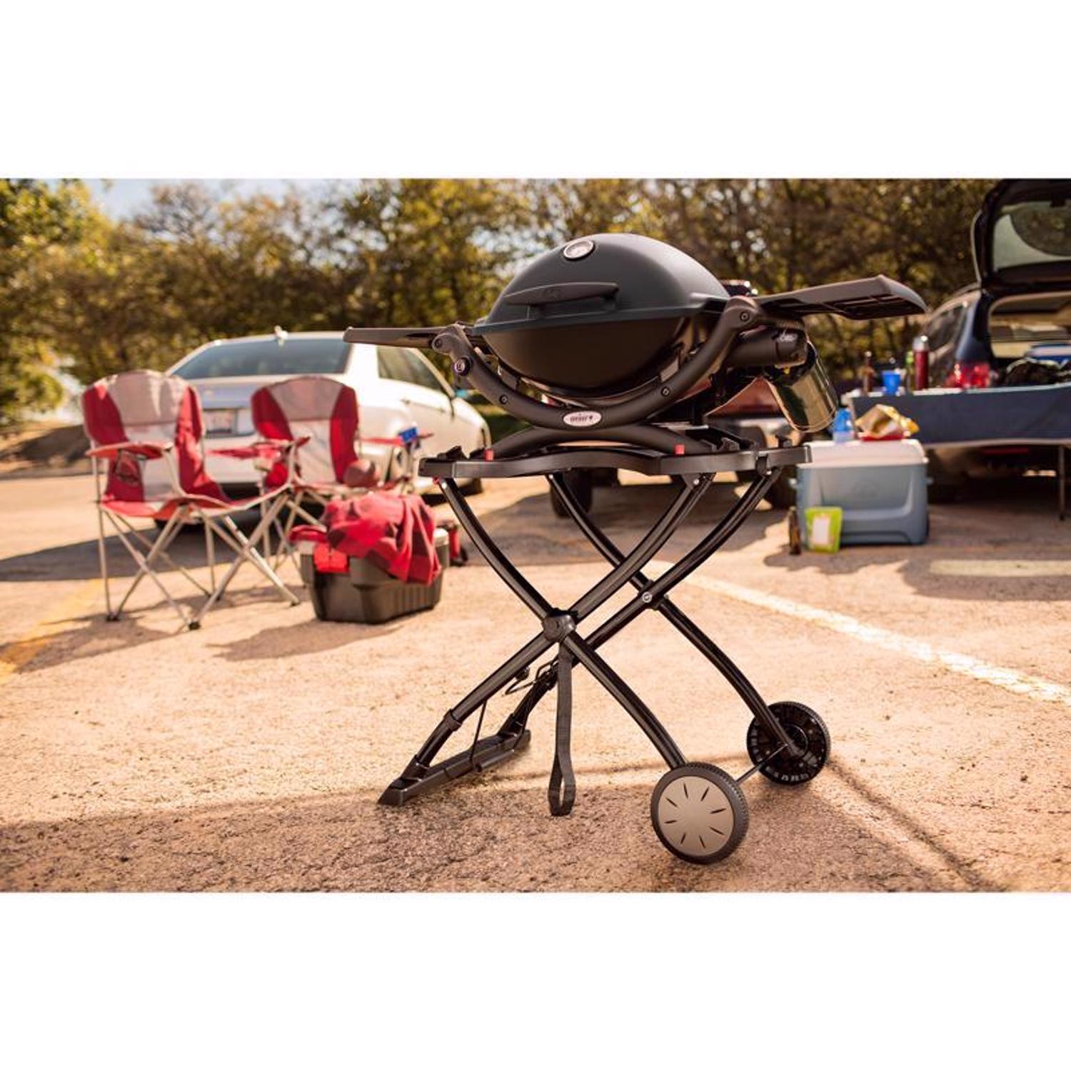 Weber Q1200 1 Burner Liquid Propane Grill Black