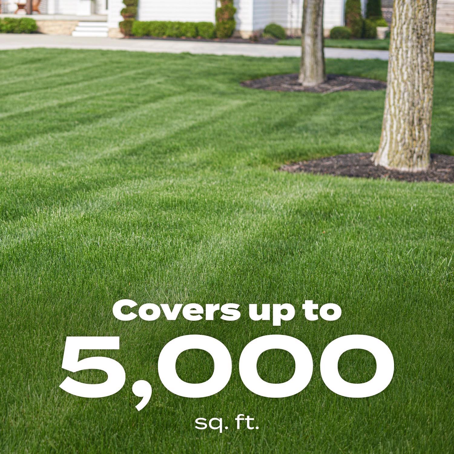 Scotts Green Max All-Purpose Lawn Food For All Grasses 5000 sq ft