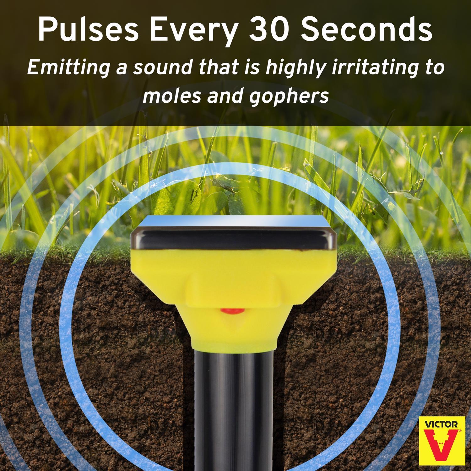 Victor Sonic Spike Repeller For Gophers and Moles 1 pk