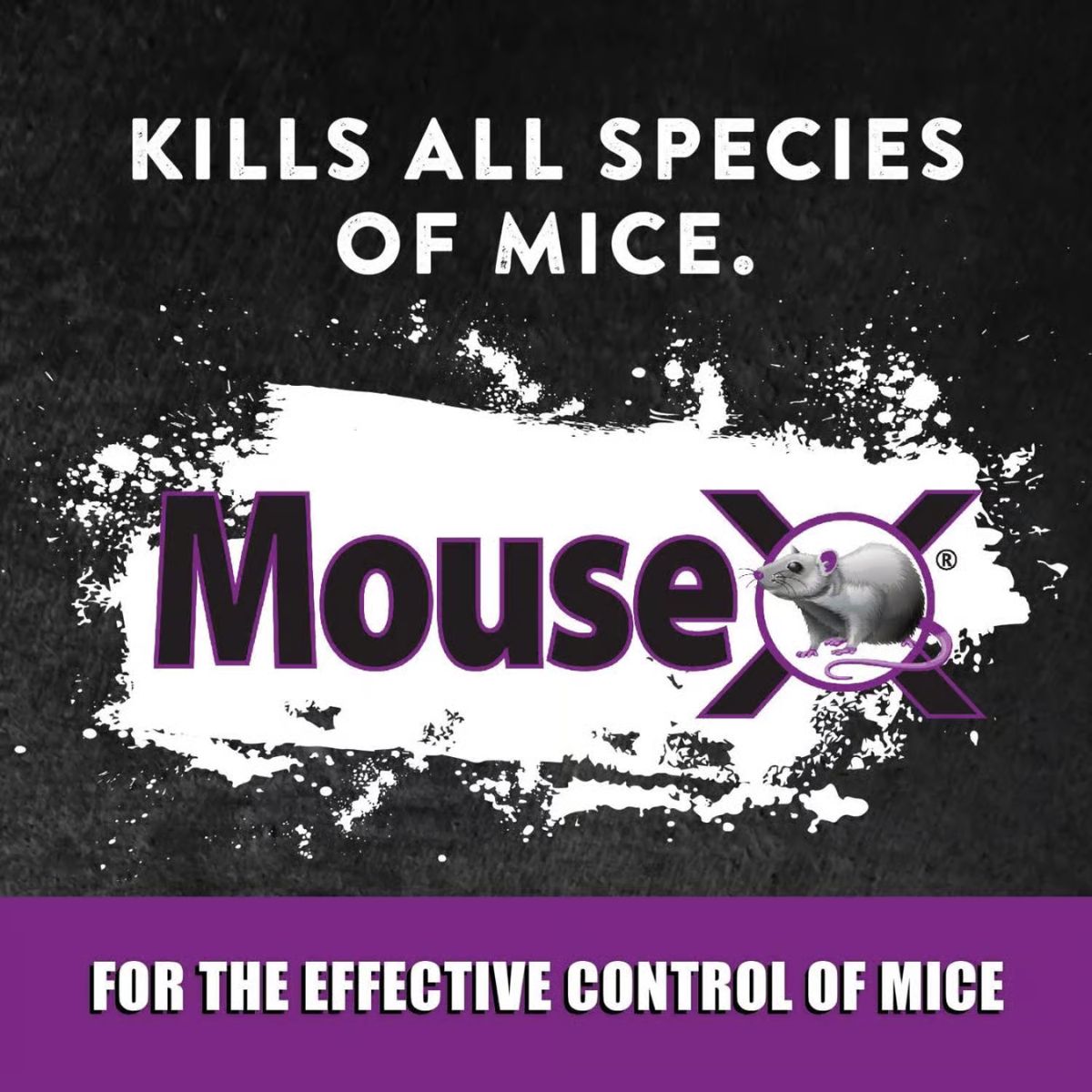 MouseX Non-Toxic Bait Pellet Throw Pack For Mice 12 oz. 6 Pack