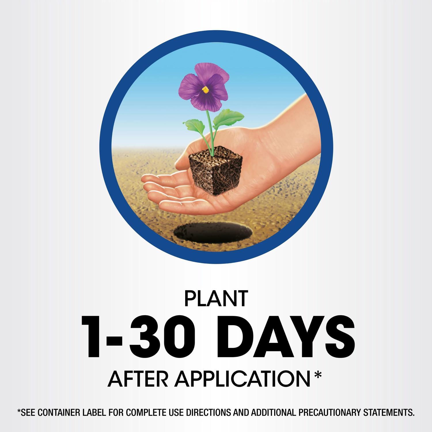 Roundup Weed and Grass Killer Concentrate 1 gal