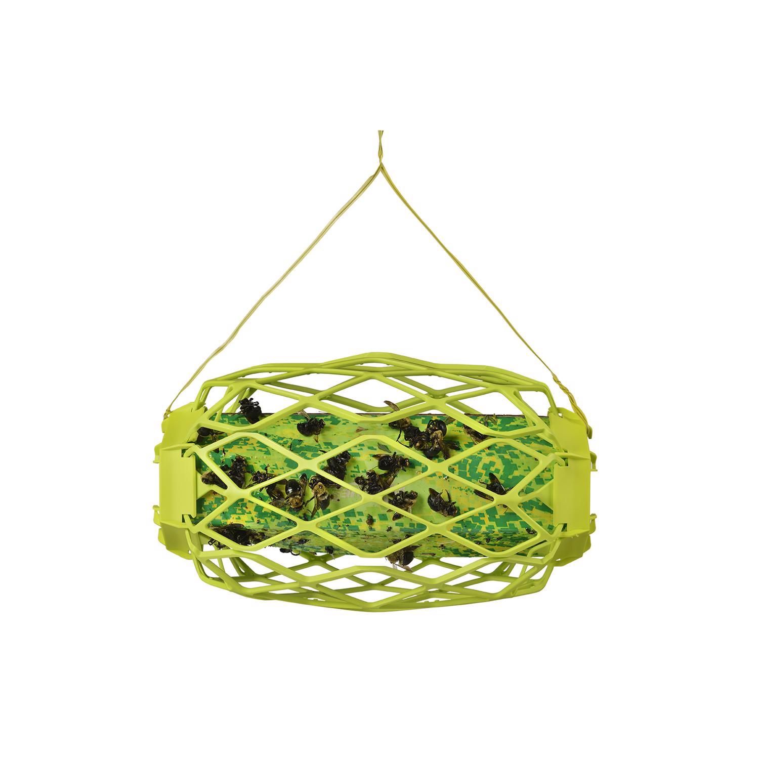 RESCUE TrapStik Insect Trap 1 pk