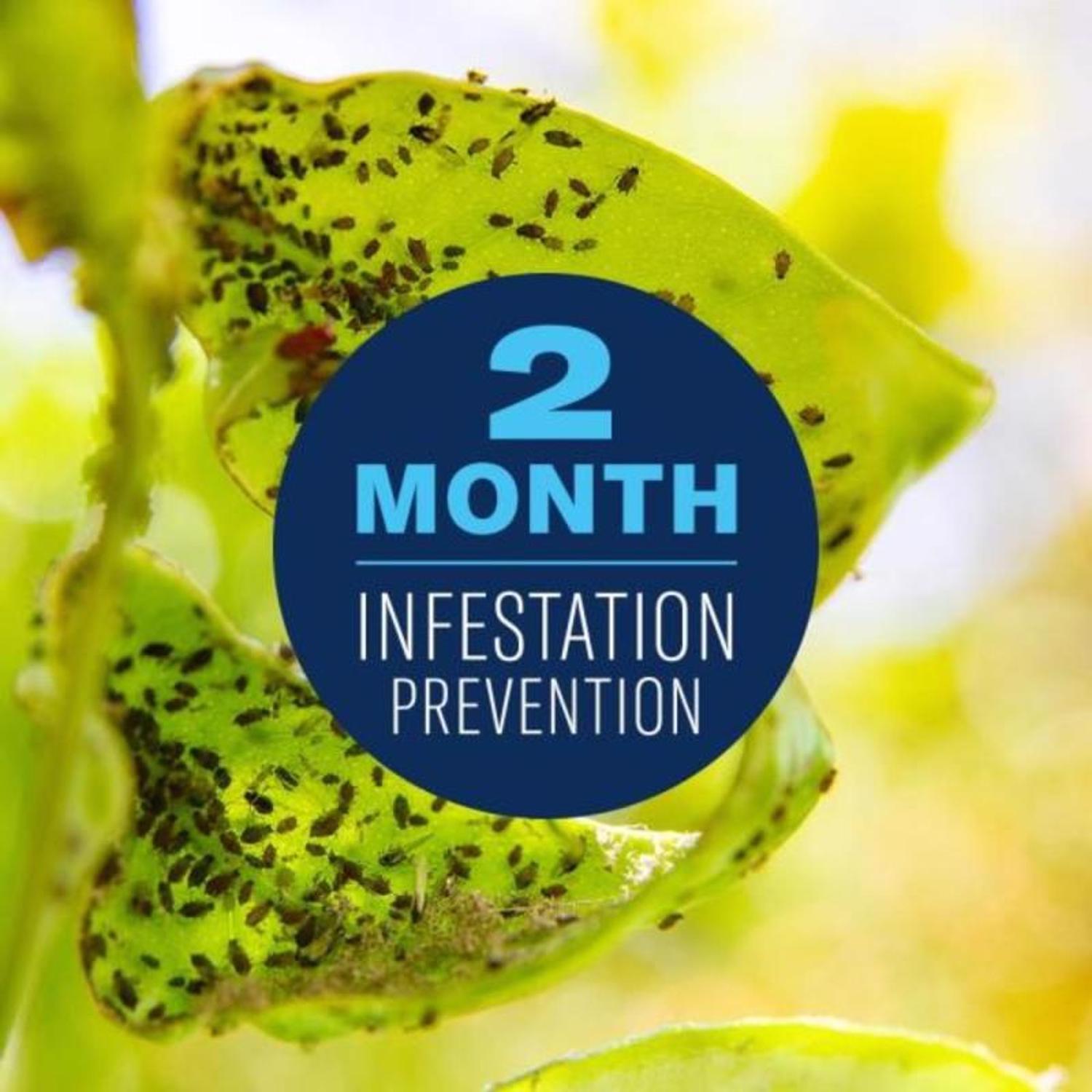 BioAdvanced Fruit, Citrus, and Vegetable Insect Control Concentrate 32 oz