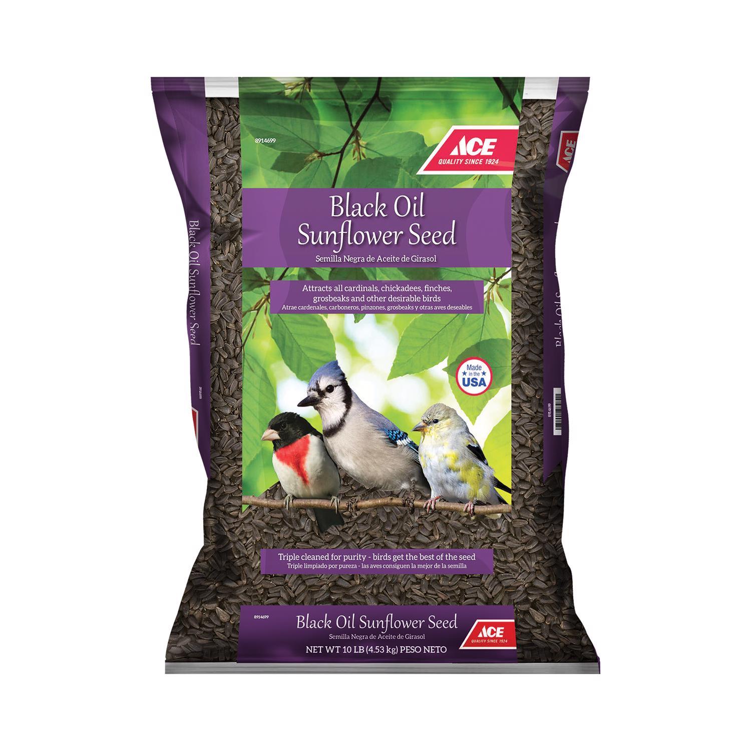 Ace Black Oil Sunflower Seed Wild Bird Food 10 lb