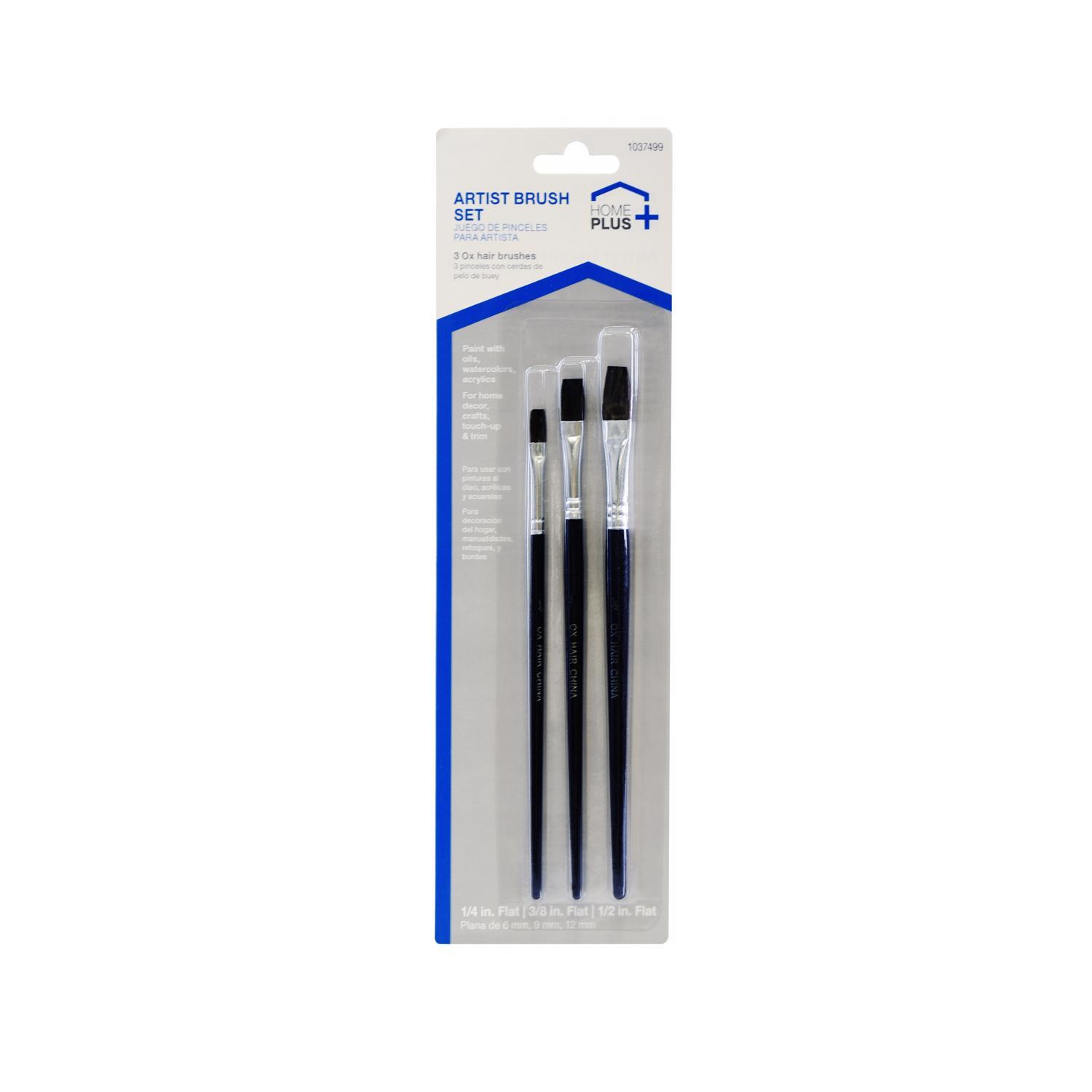 Home Plus Assorted Flat Artist Paint Brush Set