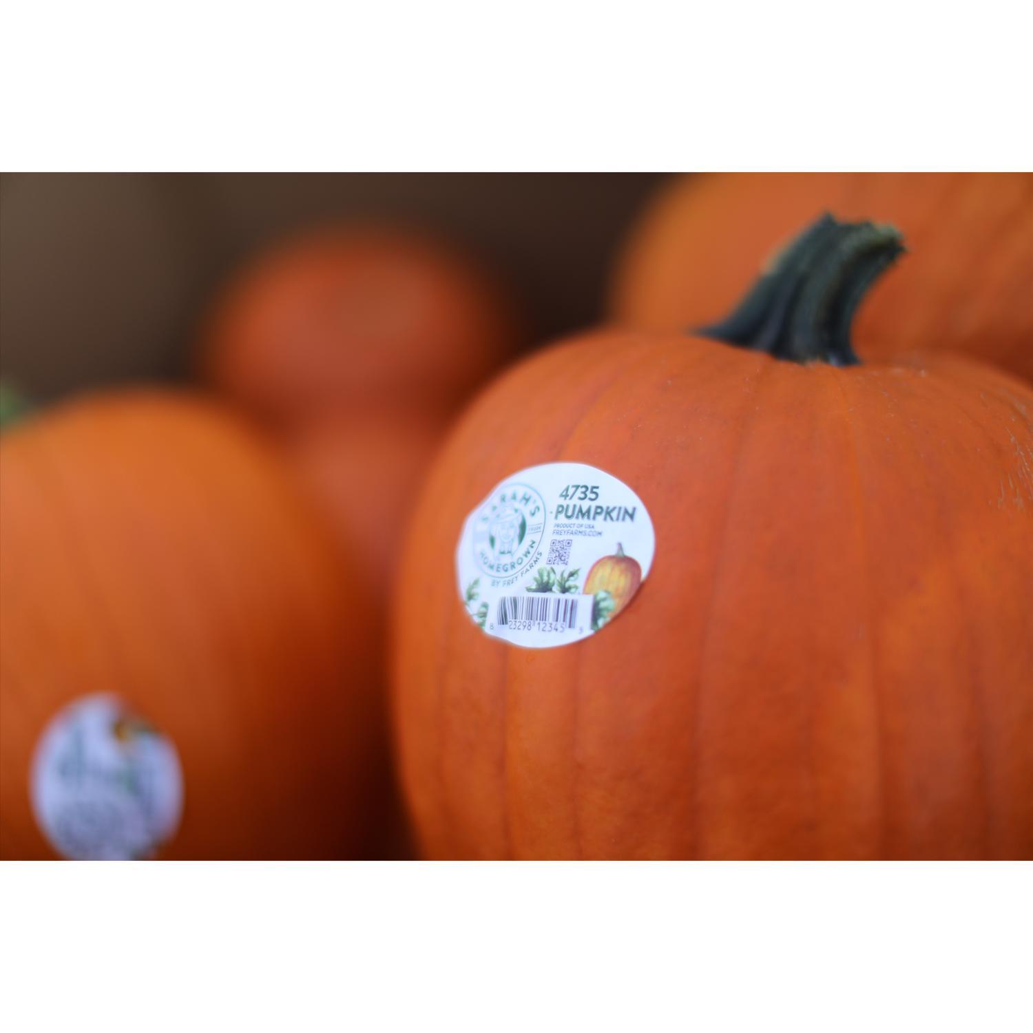 Frey Farms Sarah's Home Grown Orange Pumpkin