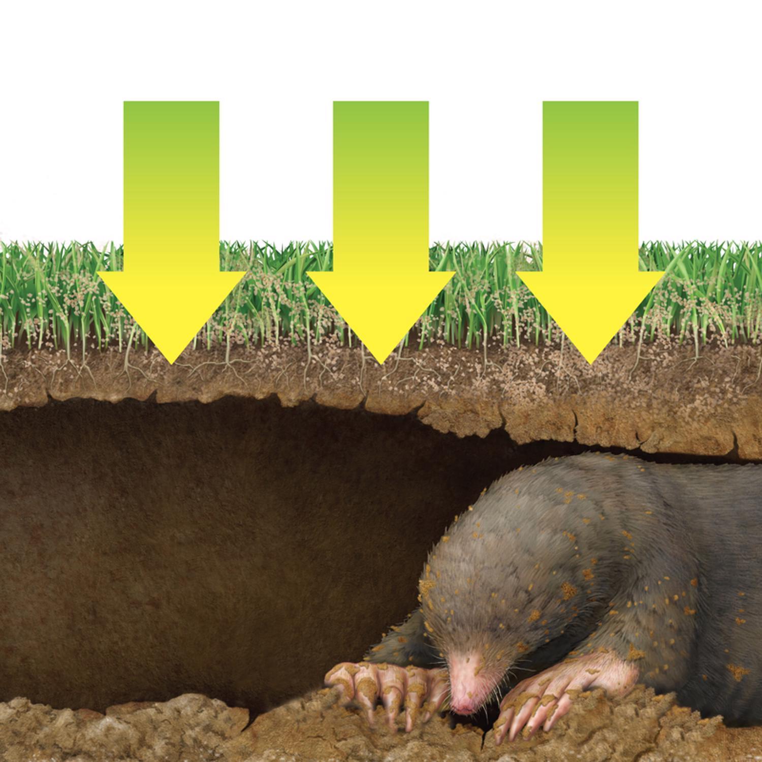 Victor Dual Action Animal Repellent Granules For Gophers and Moles 10 lb.