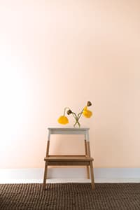 Benjamin Moore Ben Eggshell White Paint and Primer Interior 1 gal