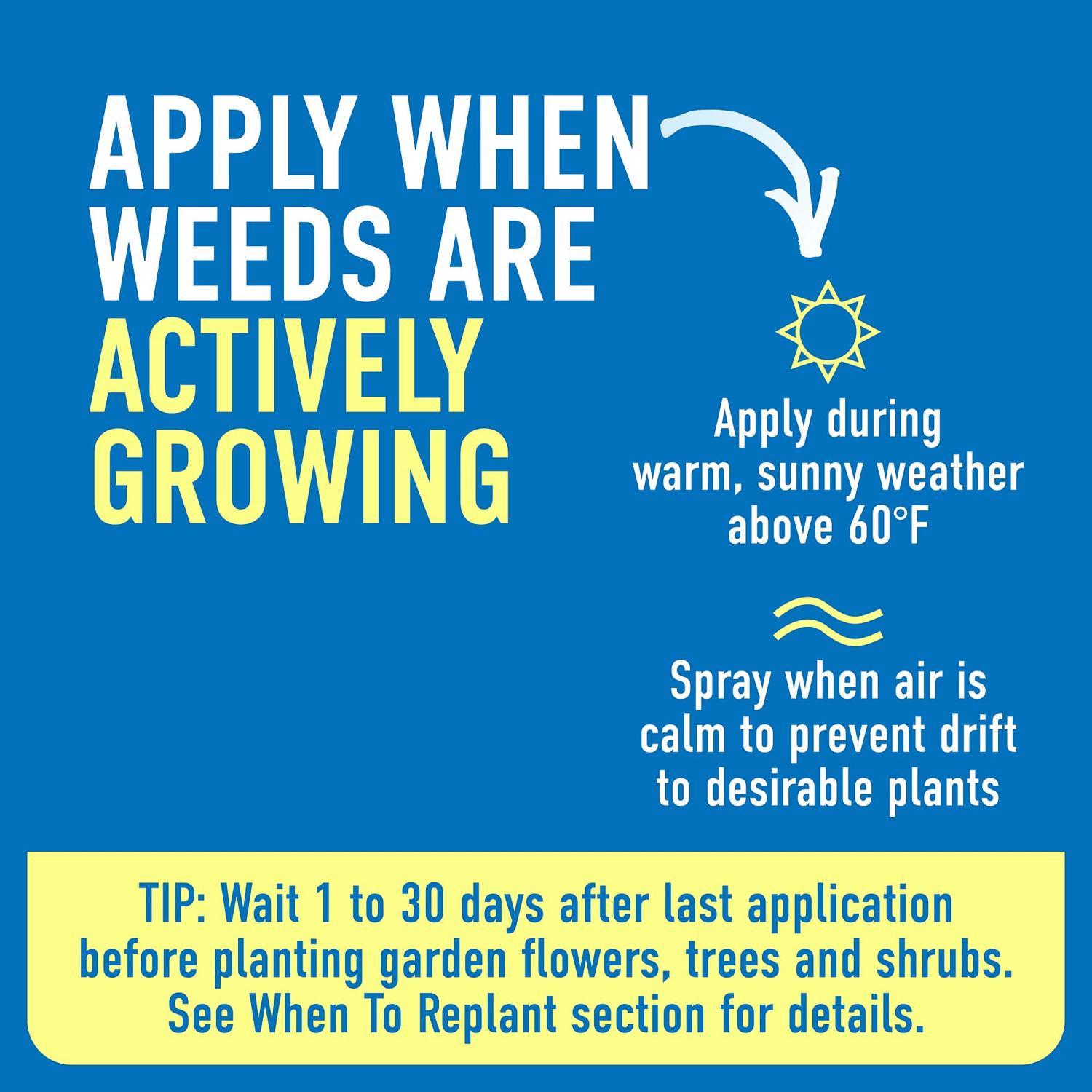 Roundup Pump 'N Go Weed and Grass Killer RTU Liquid 1.33 gal
