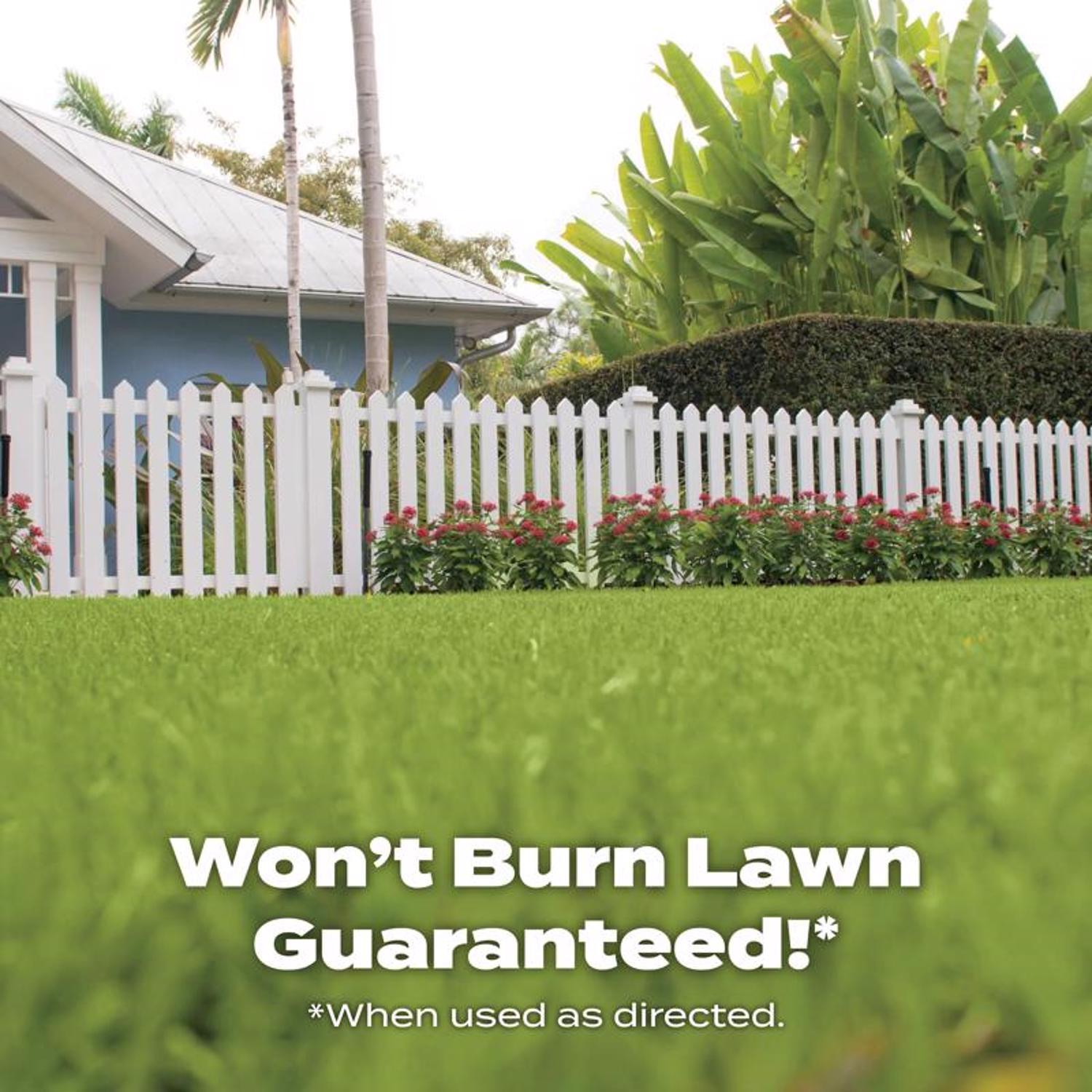 Scotts Turf Builder Southern All-Purpose Southern Lawn Food For All Grasses 10000 sq ft