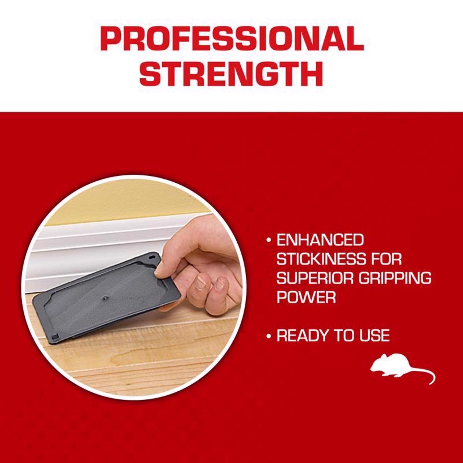 Tomcat Small Glue Trap For Mice 4 pk