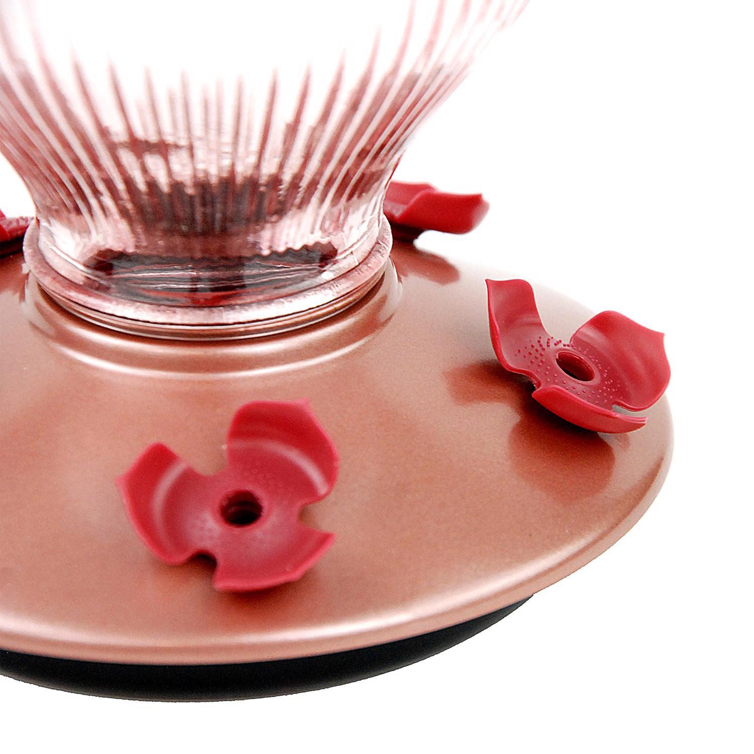 Perky-Pet Hummingbird 24 oz Glass Top-Fill Nectar Bird Feeder 5 ports