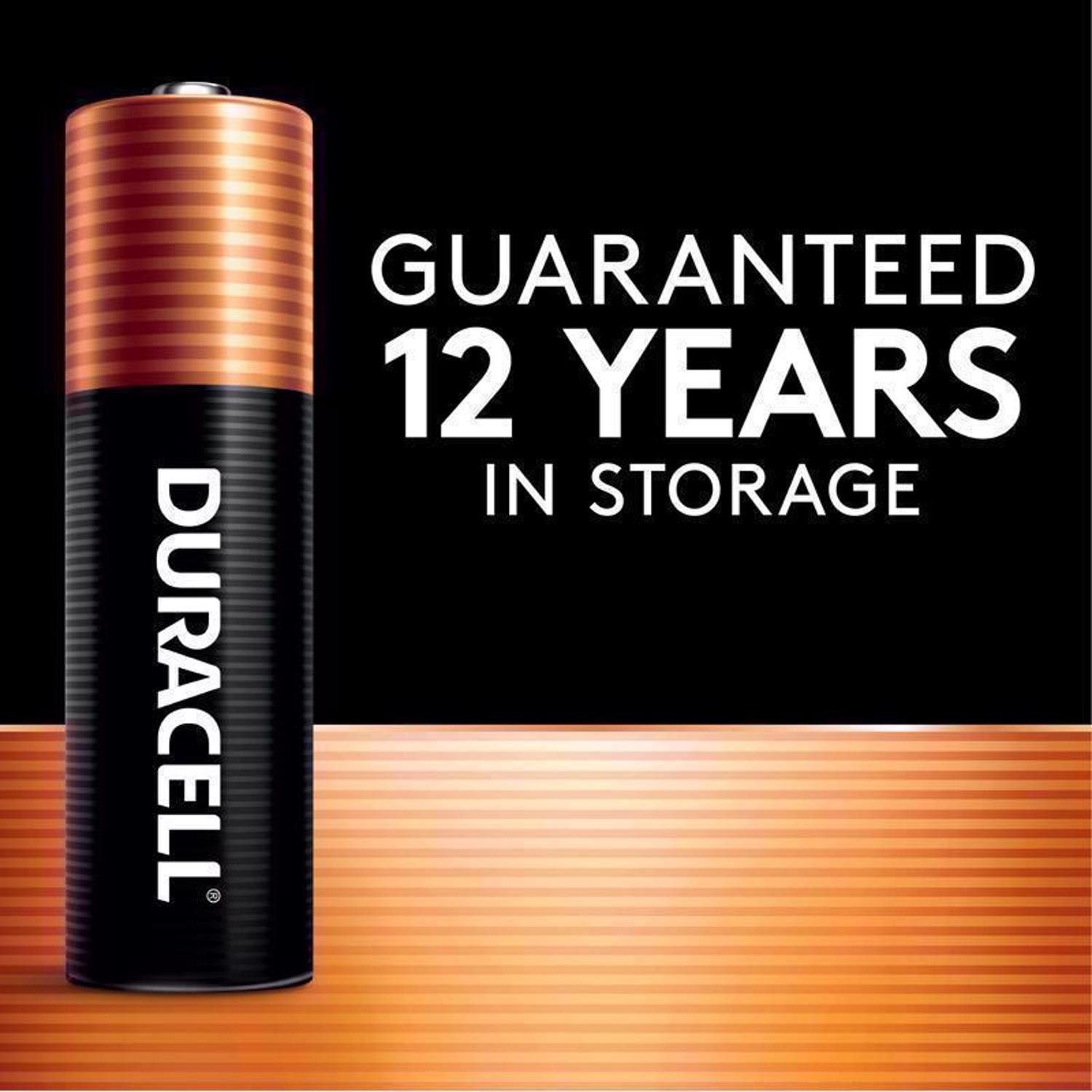 Duracell Coppertop AA Alkaline Batteries 20 pk Carded