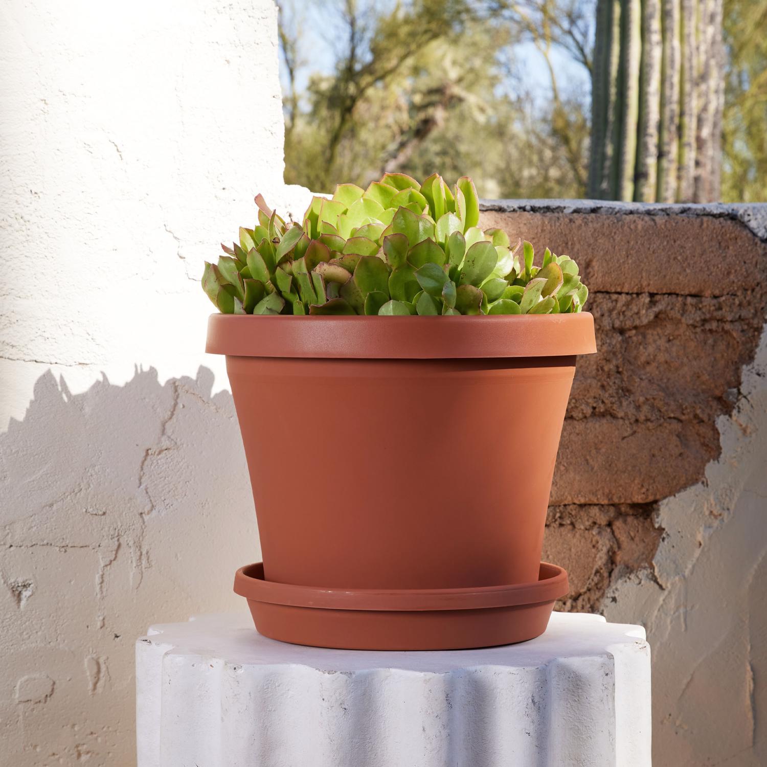 Bloem Terra 12.75 in. H X 15 in. W Resin Traditional Planter Terracotta Clay