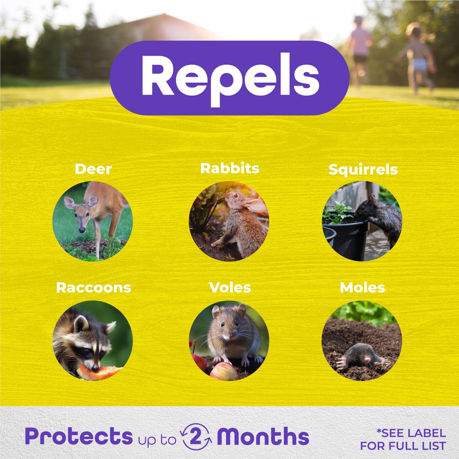 Bonide Repels-All Animal Repellent Spray For Most Animal Types 32 oz