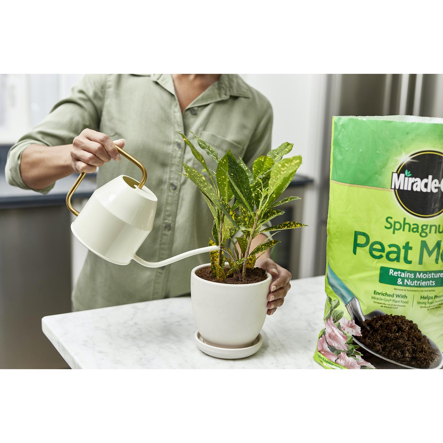 Miracle-Gro Sphagnum Peat Moss 8 qt