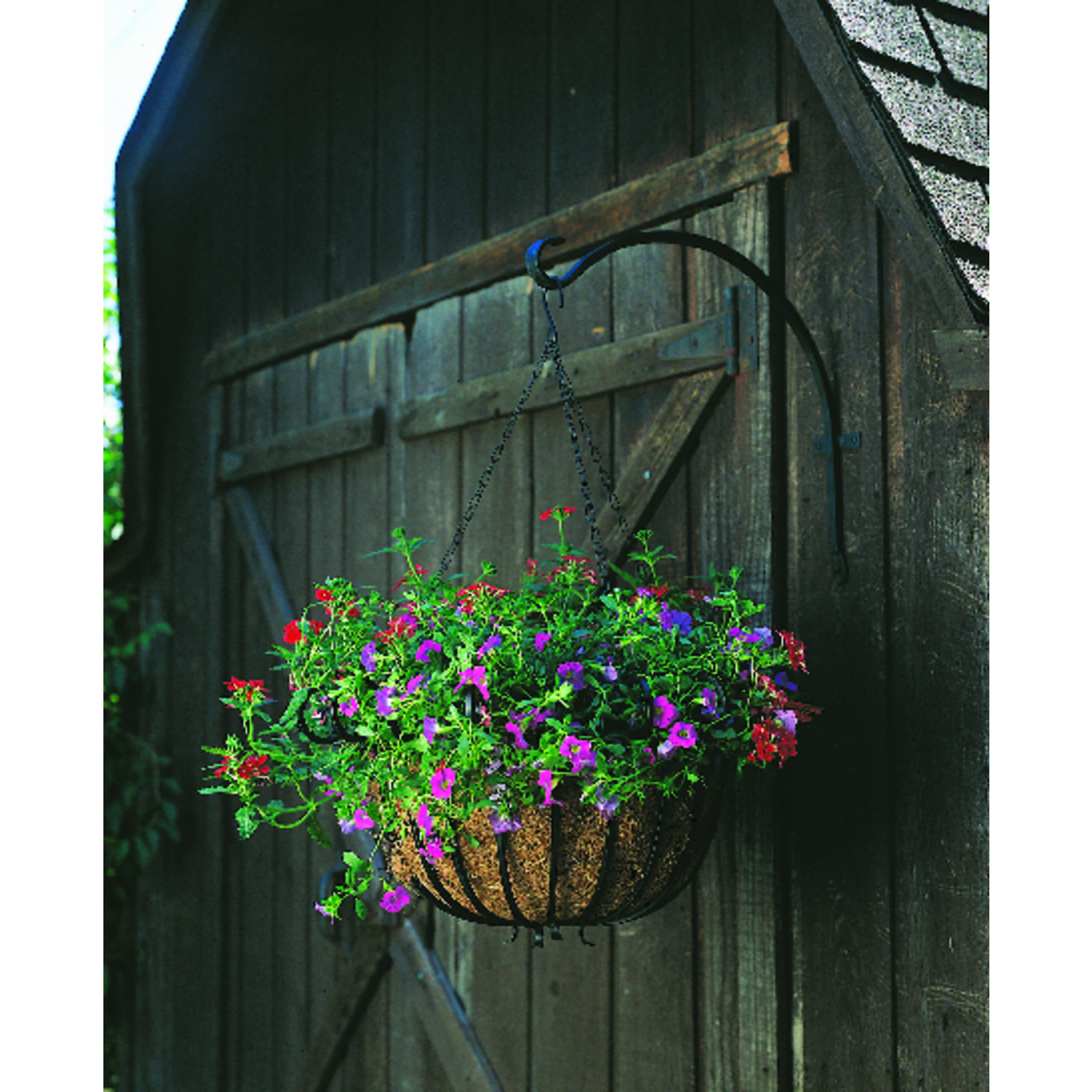Panacea Black Iron 16 in. H Curved Plant Hook 1 pk