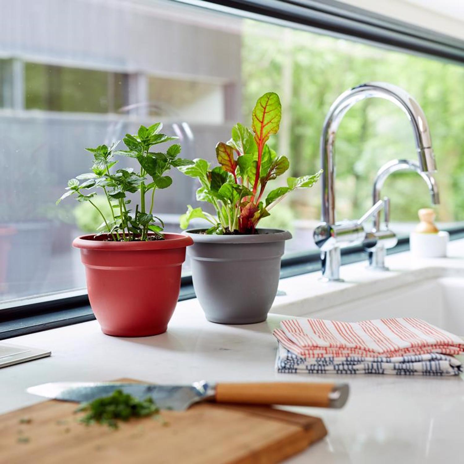 Bloem Ariana 5.25 in. H X 6.5 in. W X 6 in. D Polyresin Traditional Planter Charcoal