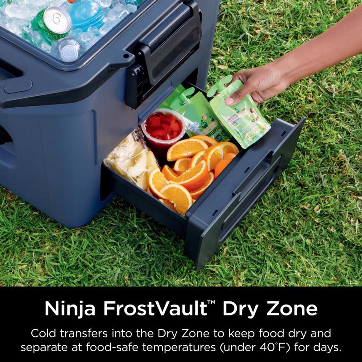 Ninja FrostVault Blue 30 qt Hard Cooler