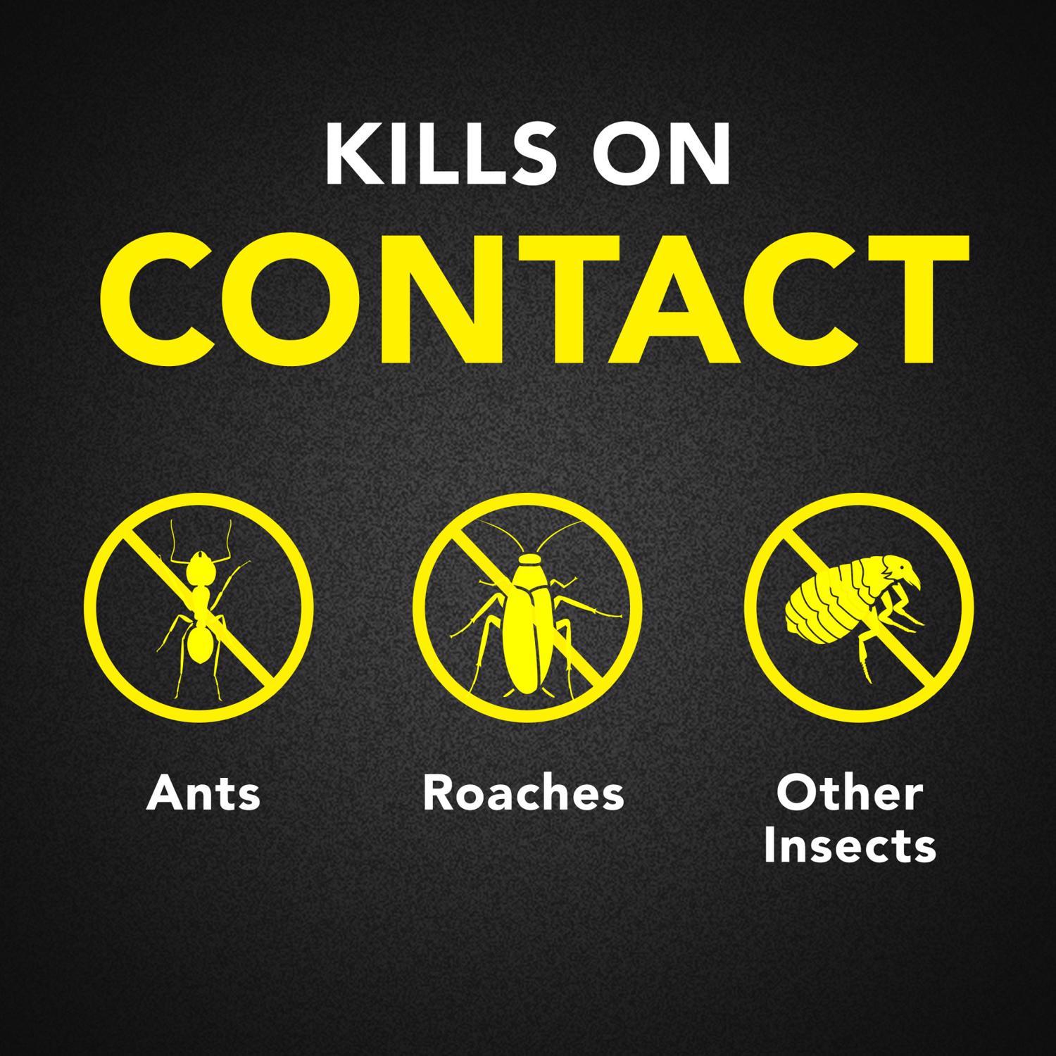 Raid Ant and Roach Killer Aerosol 17.5 oz