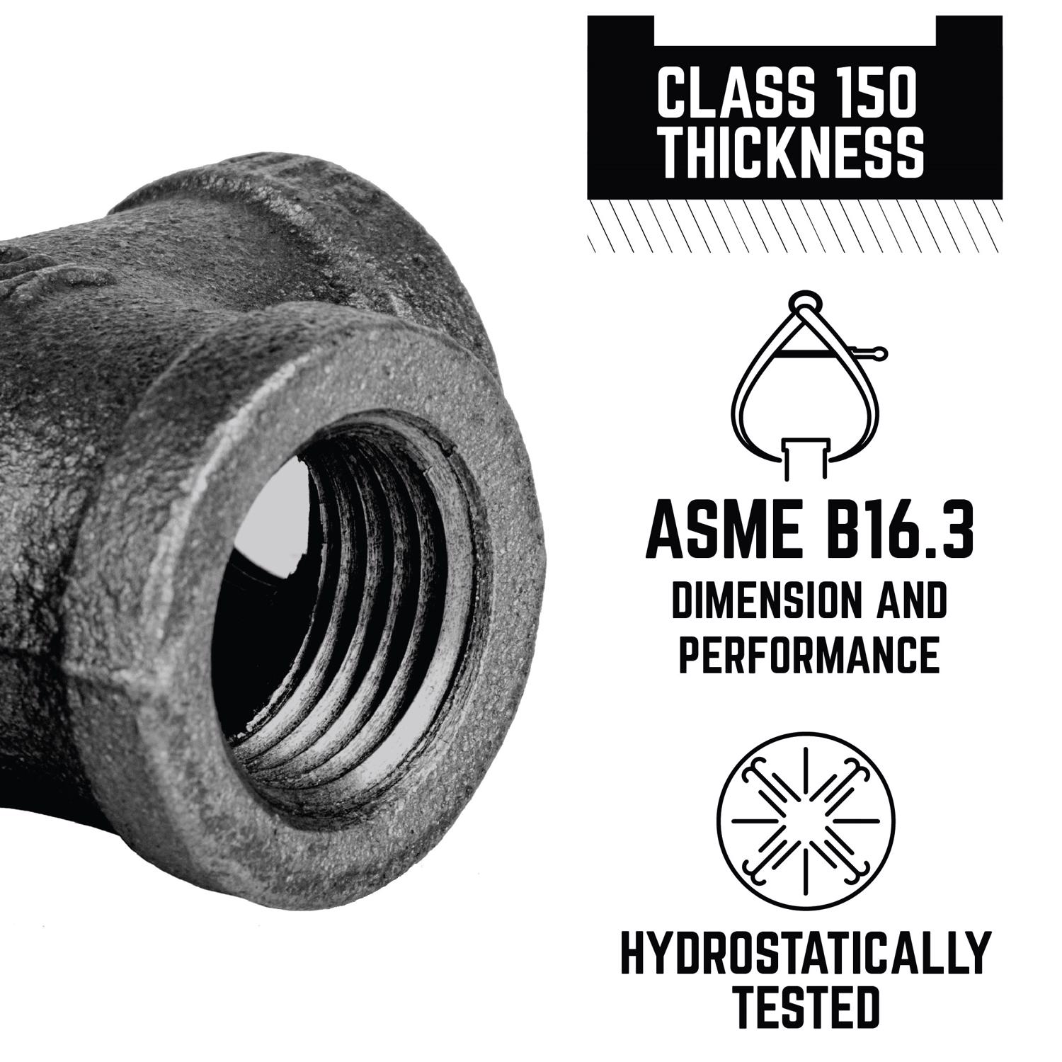 STZ Industries 3/4 in. FIP each Black Malleable Iron Cap