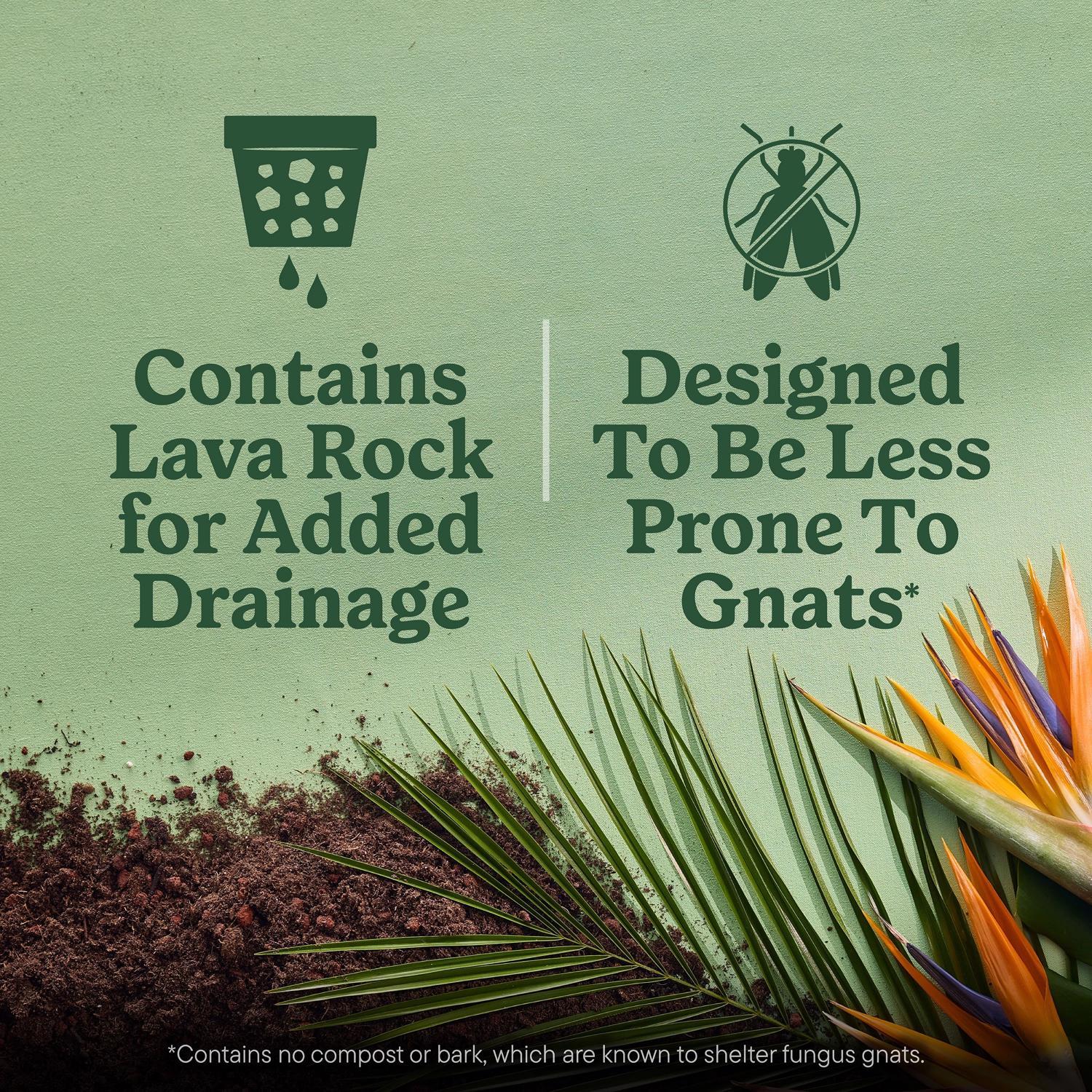 Miracle-Gro Tropical Cacti, Citrus and Palm Potting Mix 6 qt