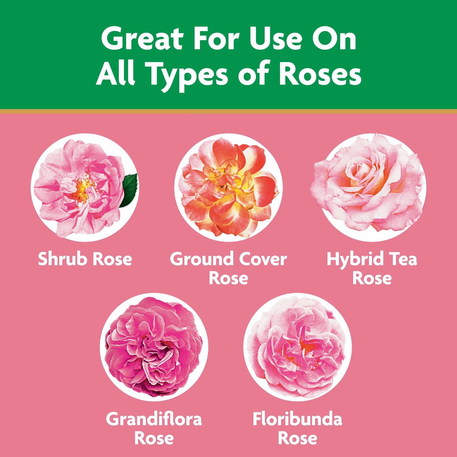 Miracle-Gro Powder Rose Plant Food 1.5 lb