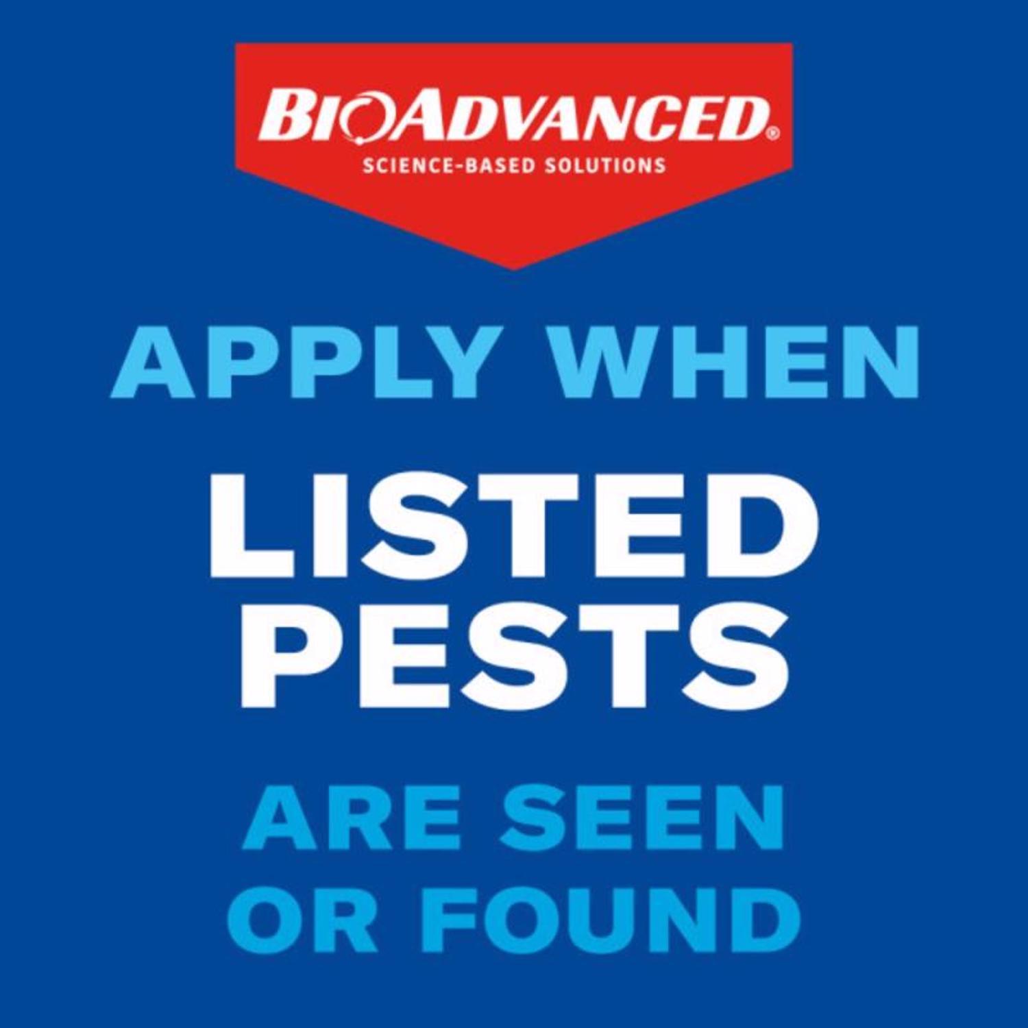 BioAdvanced Termite Killer Foam 18 oz