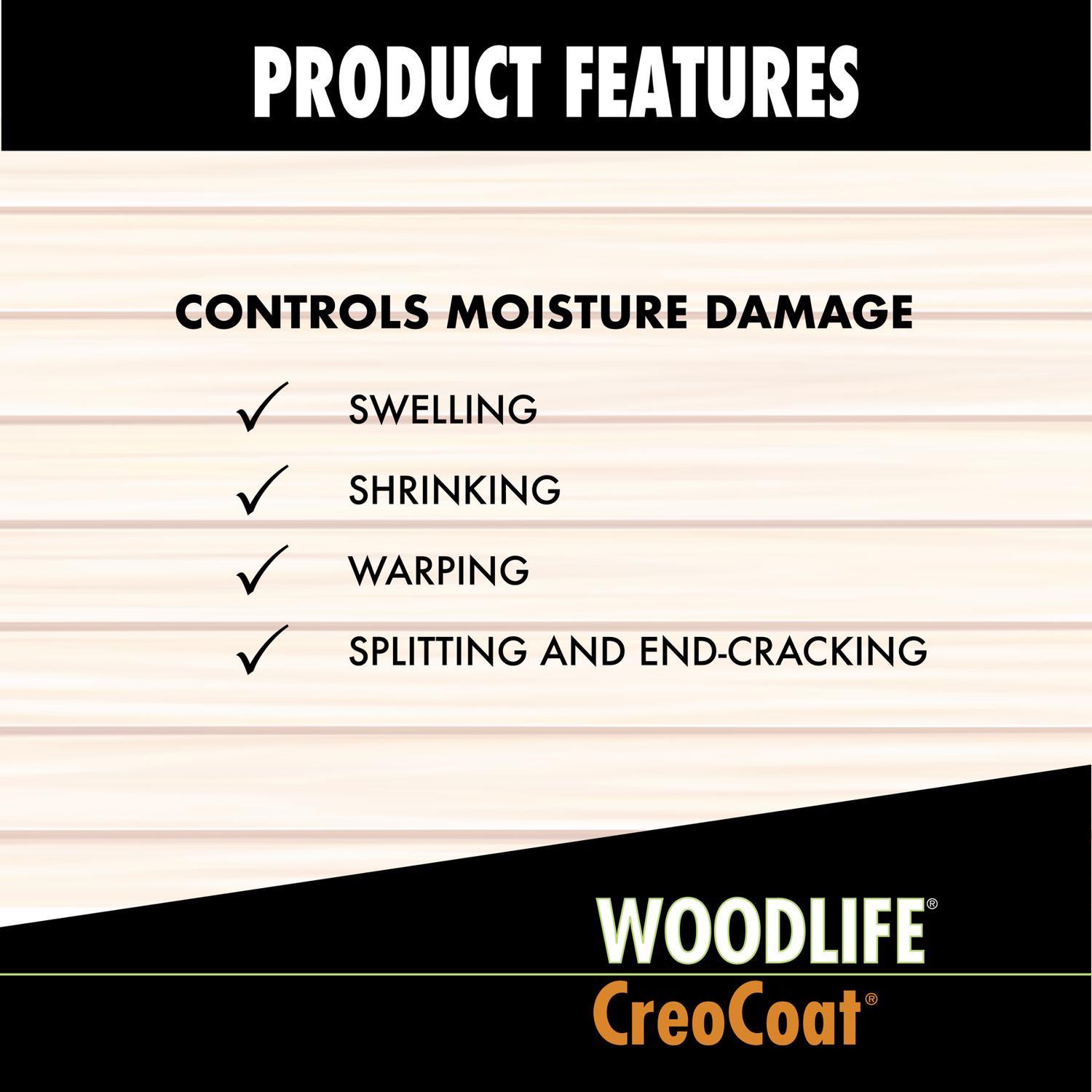 Wolman Woodlife Black Water-Based Wood Preservative 1 gal