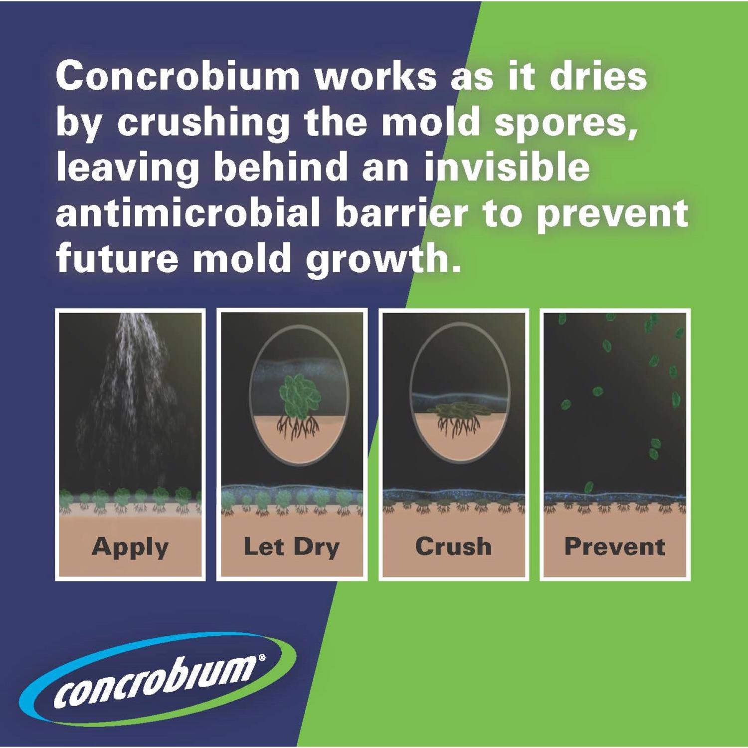 Concrobium Mold Control 1 gal