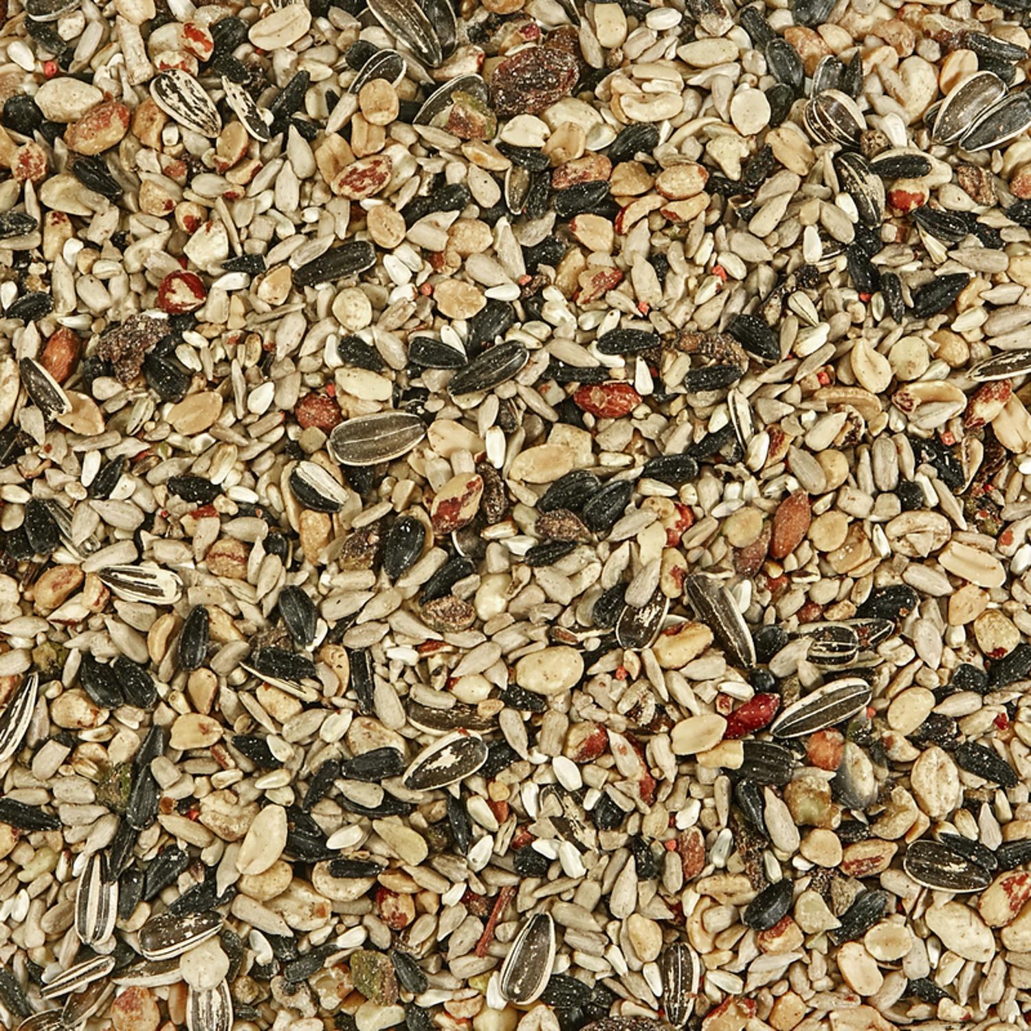 Kaytee Wild Bird Food 10 lb