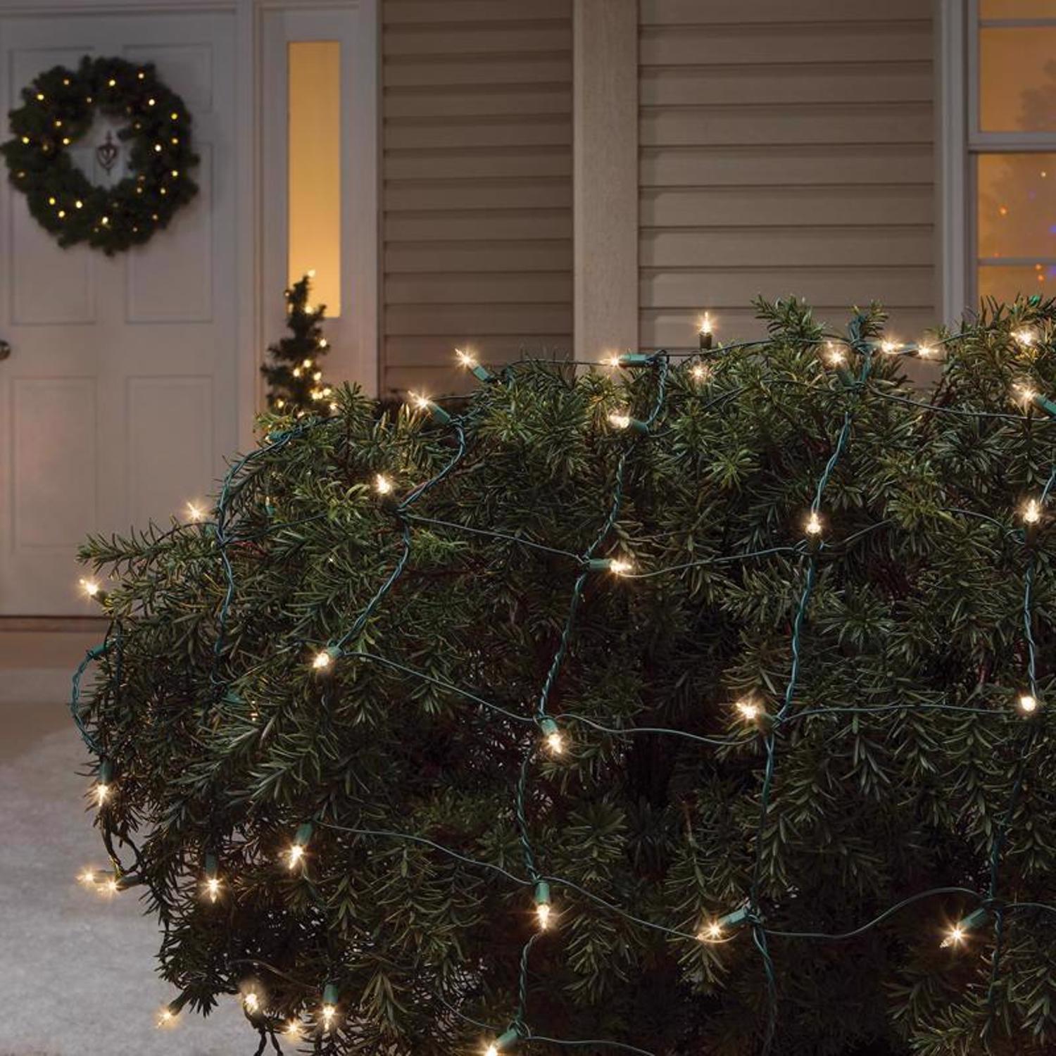 Celebrations Red Incandescent Mini Clear 150 ct Net Christmas Lights 6 ft.