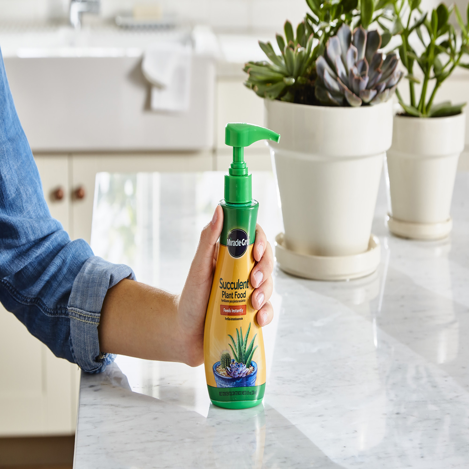 Miracle-Gro Succulent Liquid Cacti, Jade and Aloe Plant Food 8 oz