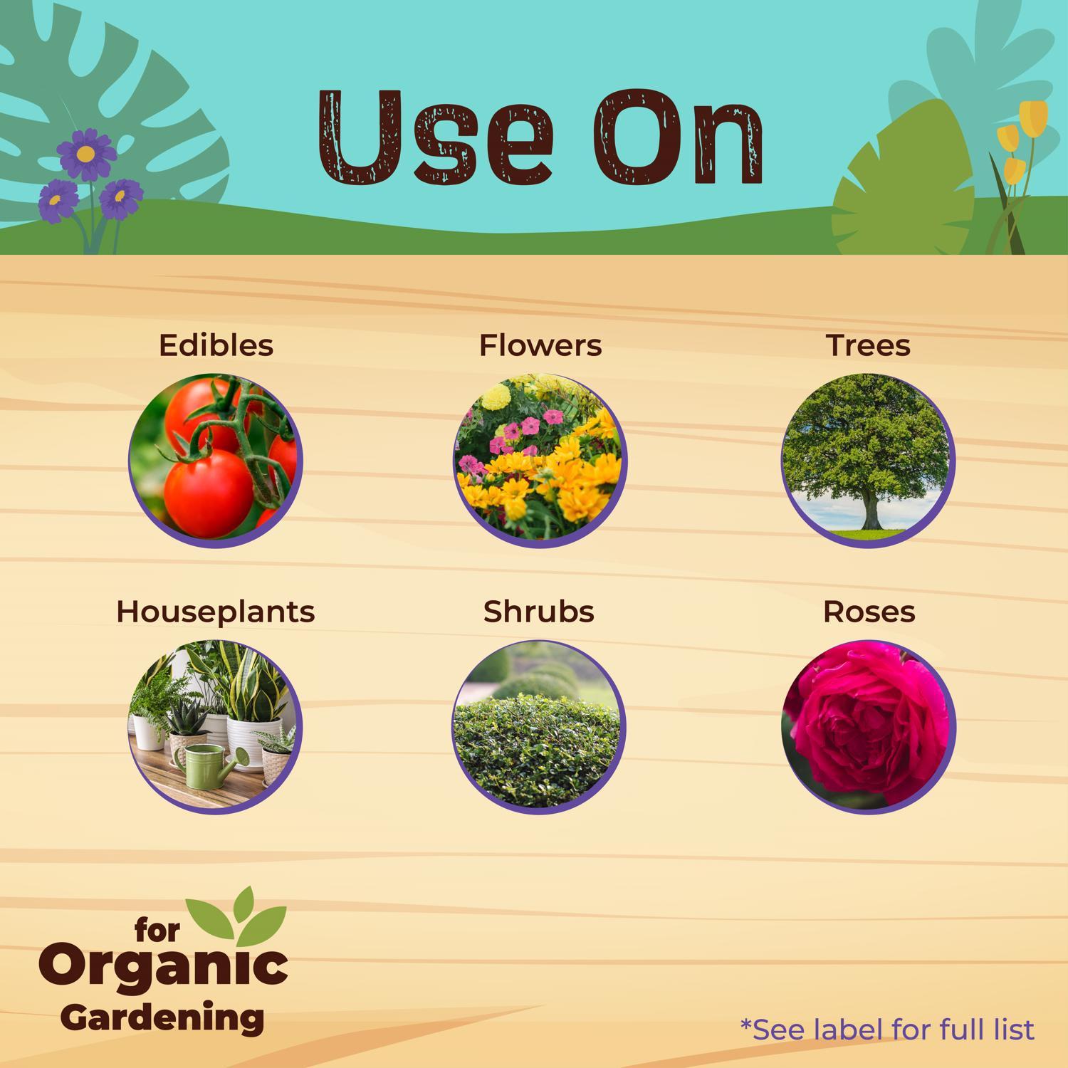 Bonide Captain Jack Organic Disease and Insect Control Liquid 32 oz