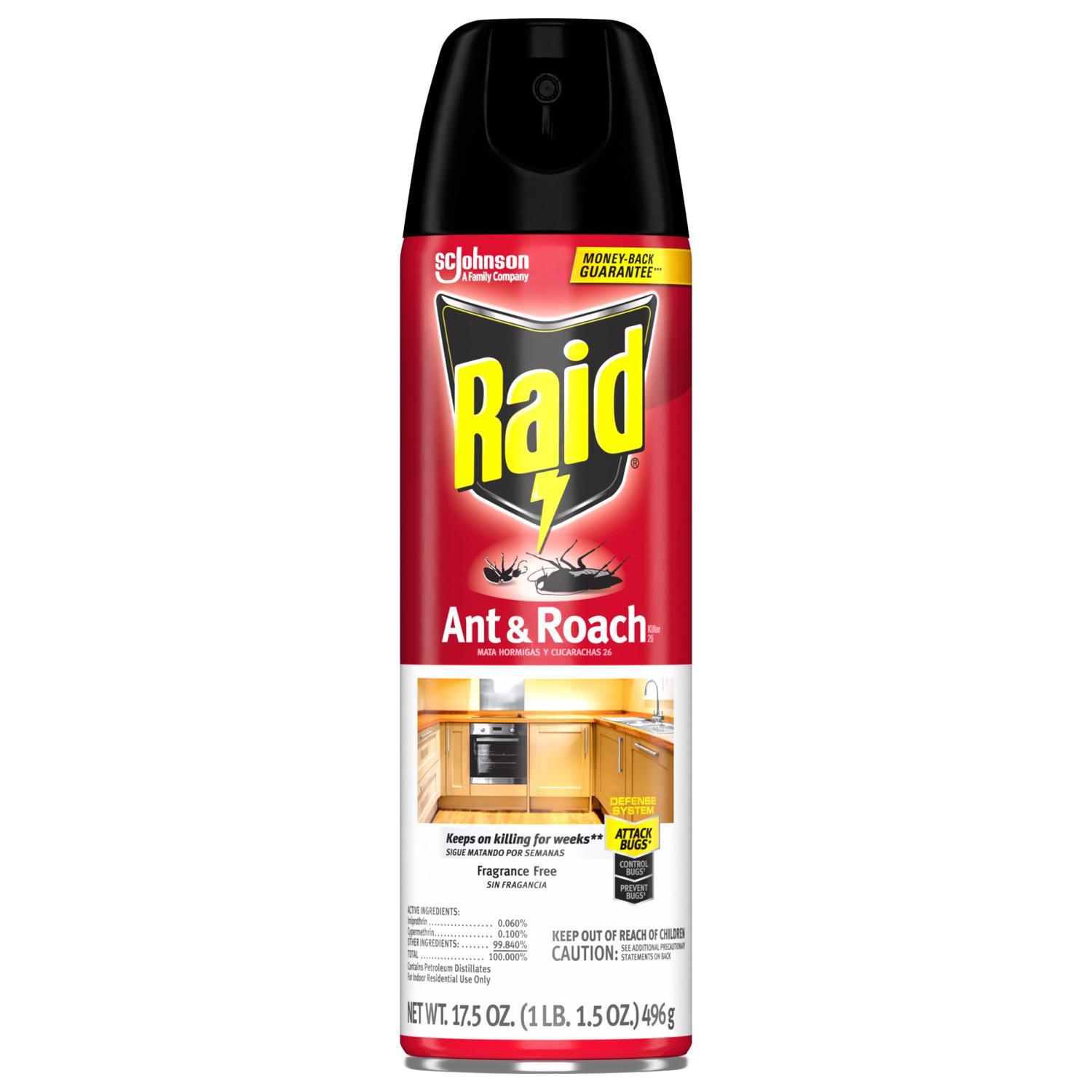 Raid Ant and Roach Killer Aerosol 17.5 oz
