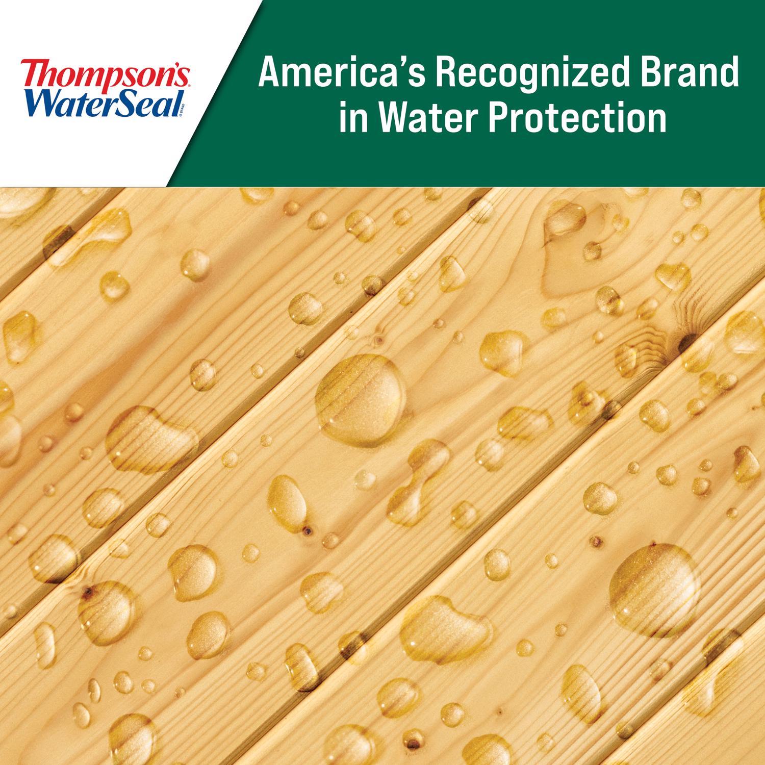 Thompson's WaterSeal Clear Wood Sealer Clear Oil-Based Wood Sealant 6 gal