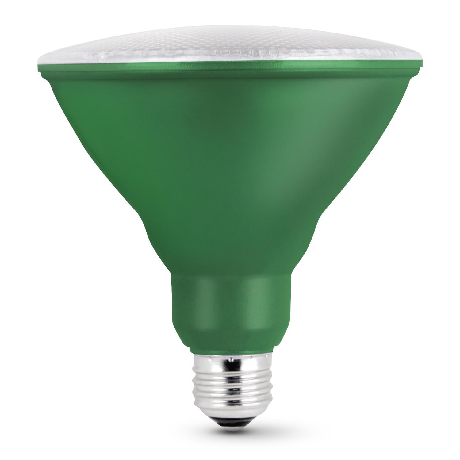 Feit PAR38 E26 (Medium) LED Bulb Green 120 Watt Equivalence 1 pk