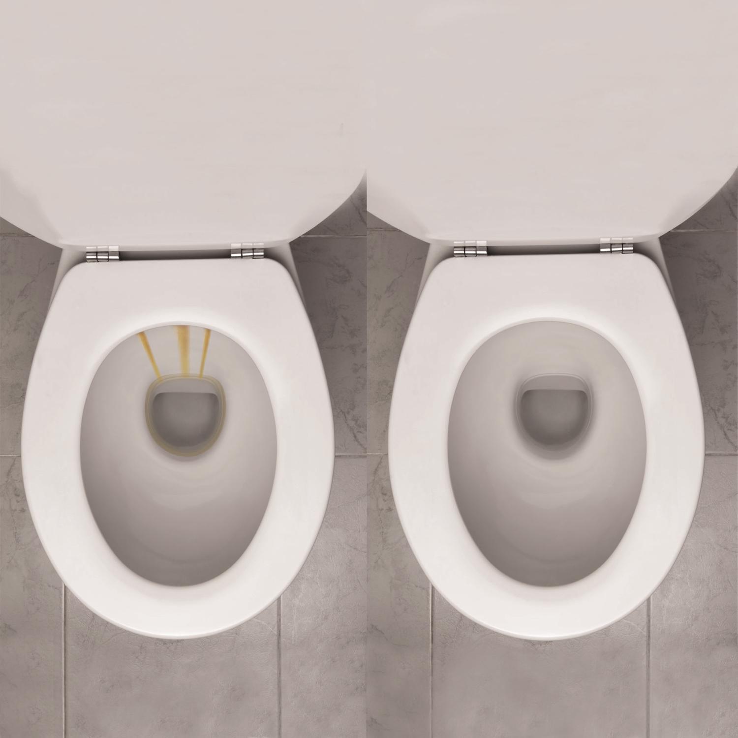 Whink No Scent Rust Stain Remover 16 oz Liquid