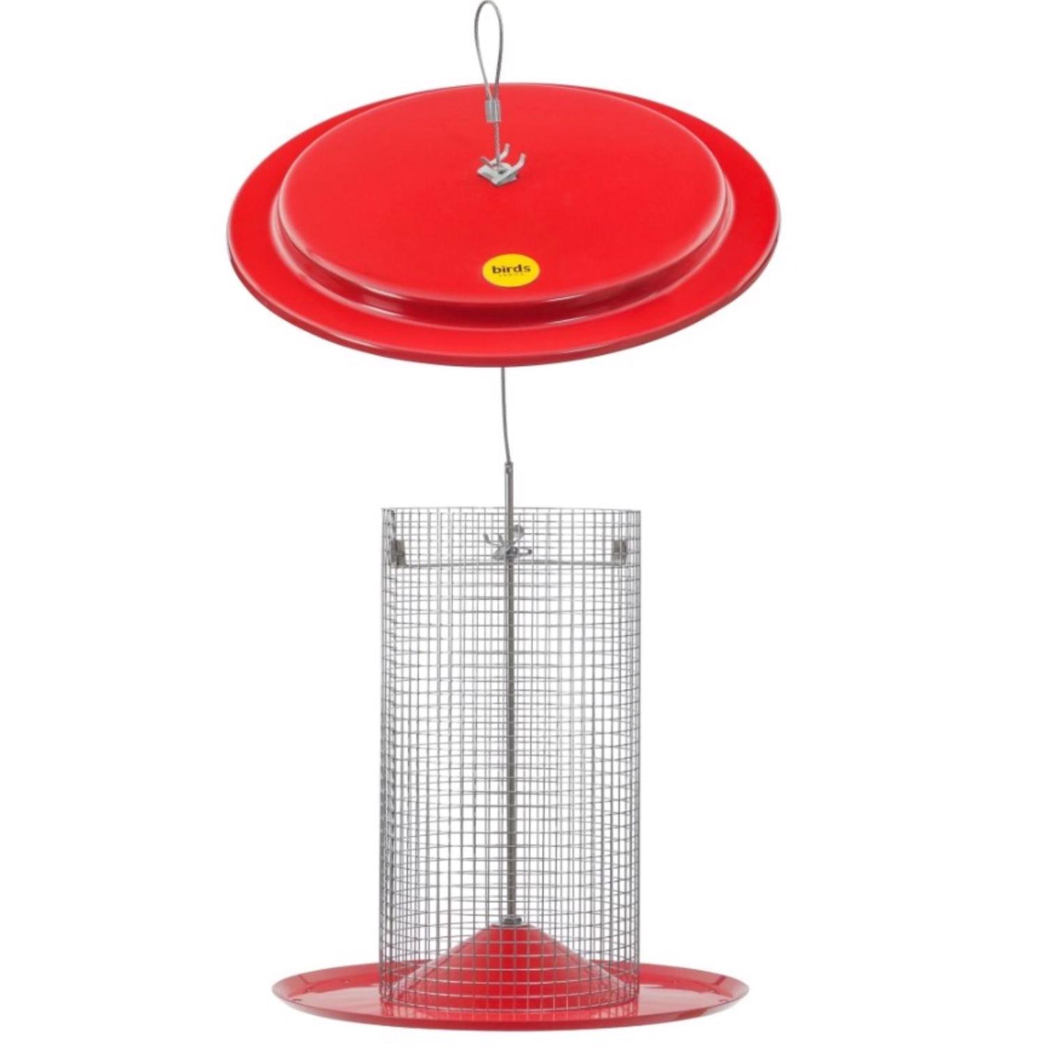 Birds Choice Sunflower 3 lb. cap. Metal Hanging Bird Feeder
