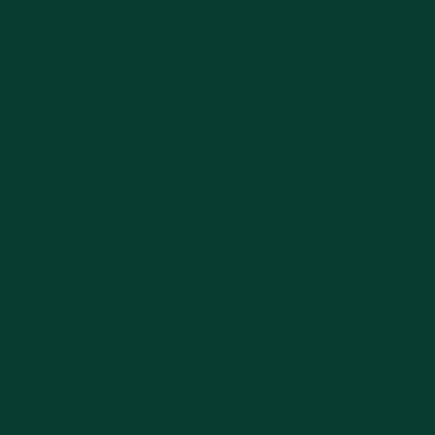 Rust-Oleum Stops Rust Custom Spray 5-in-1 Gloss Dark Hunter Green Spray Paint 12 oz