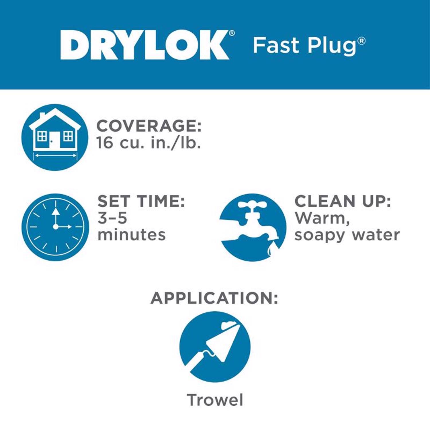 Drylok Fast Plug Hydraulic Cement 4 lb Gray