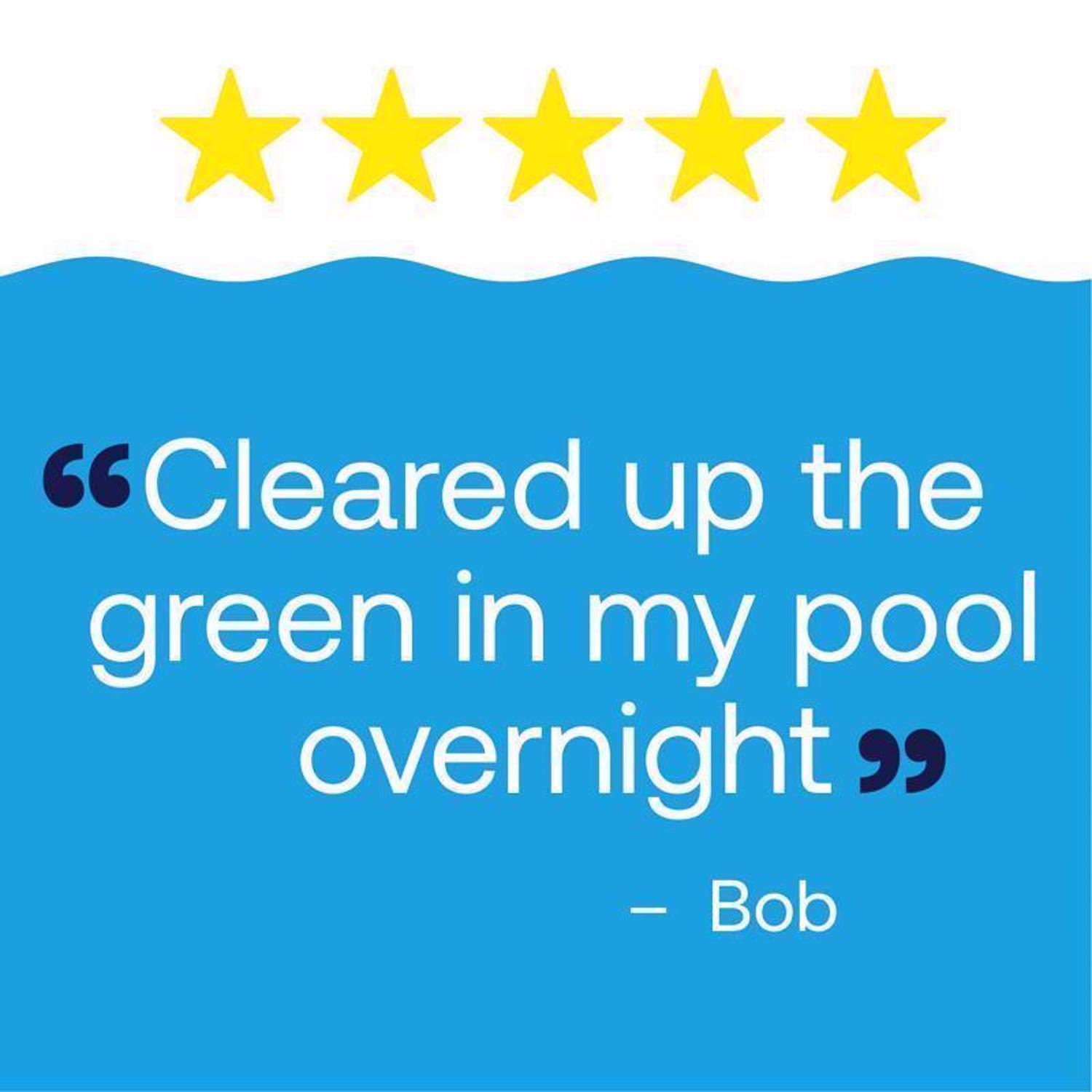 HTH Pool Care Liquid Algae Guard 1 gal