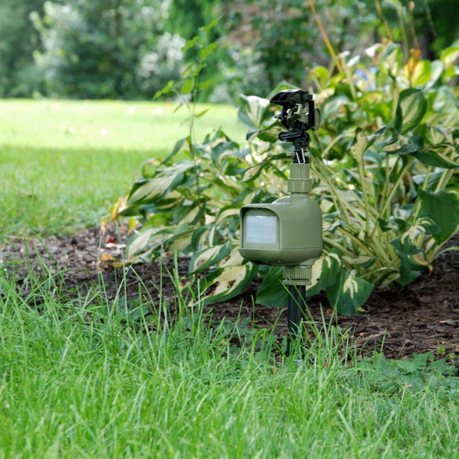 Havahart Critter Ridder Sprinkler Animal Repeller For Outdoor Pests 1 pk