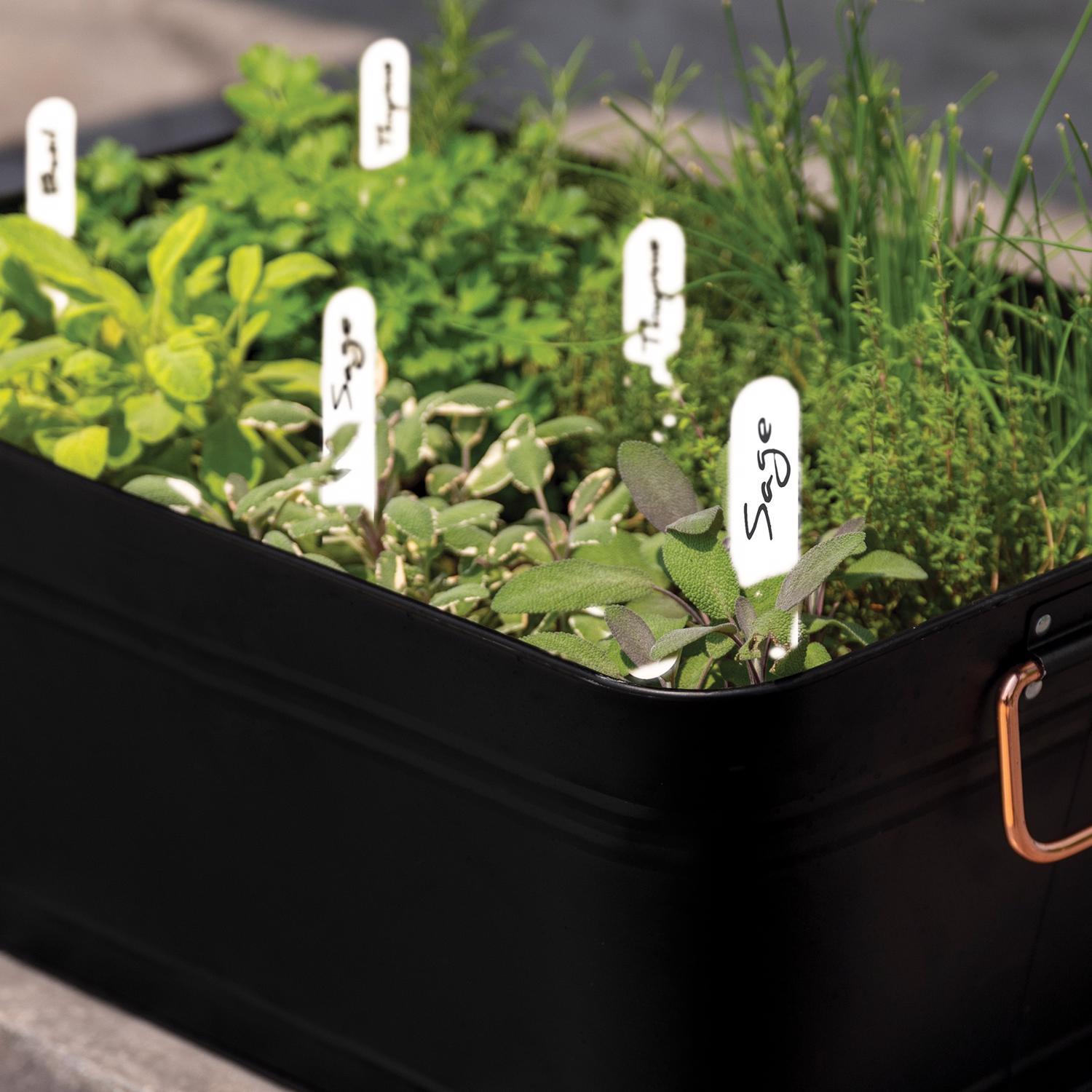 Panacea 4 in. H X 3.63 in. W X 0.5 in. D White Plastic Plant Label