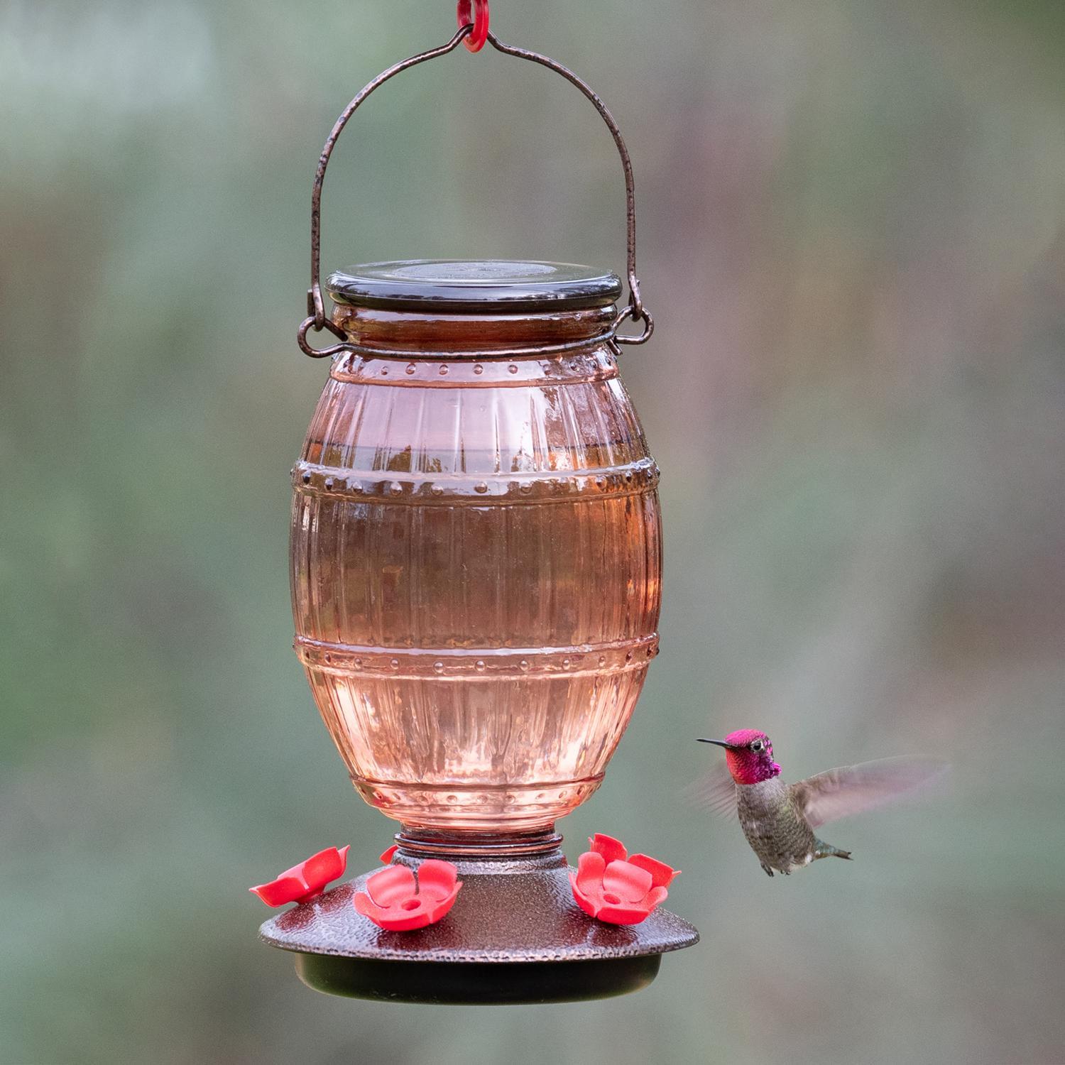 Perky-Pet Hummingbird 36 oz Glass/Plastic Prohibition Nectar Bird Feeder 5 ports