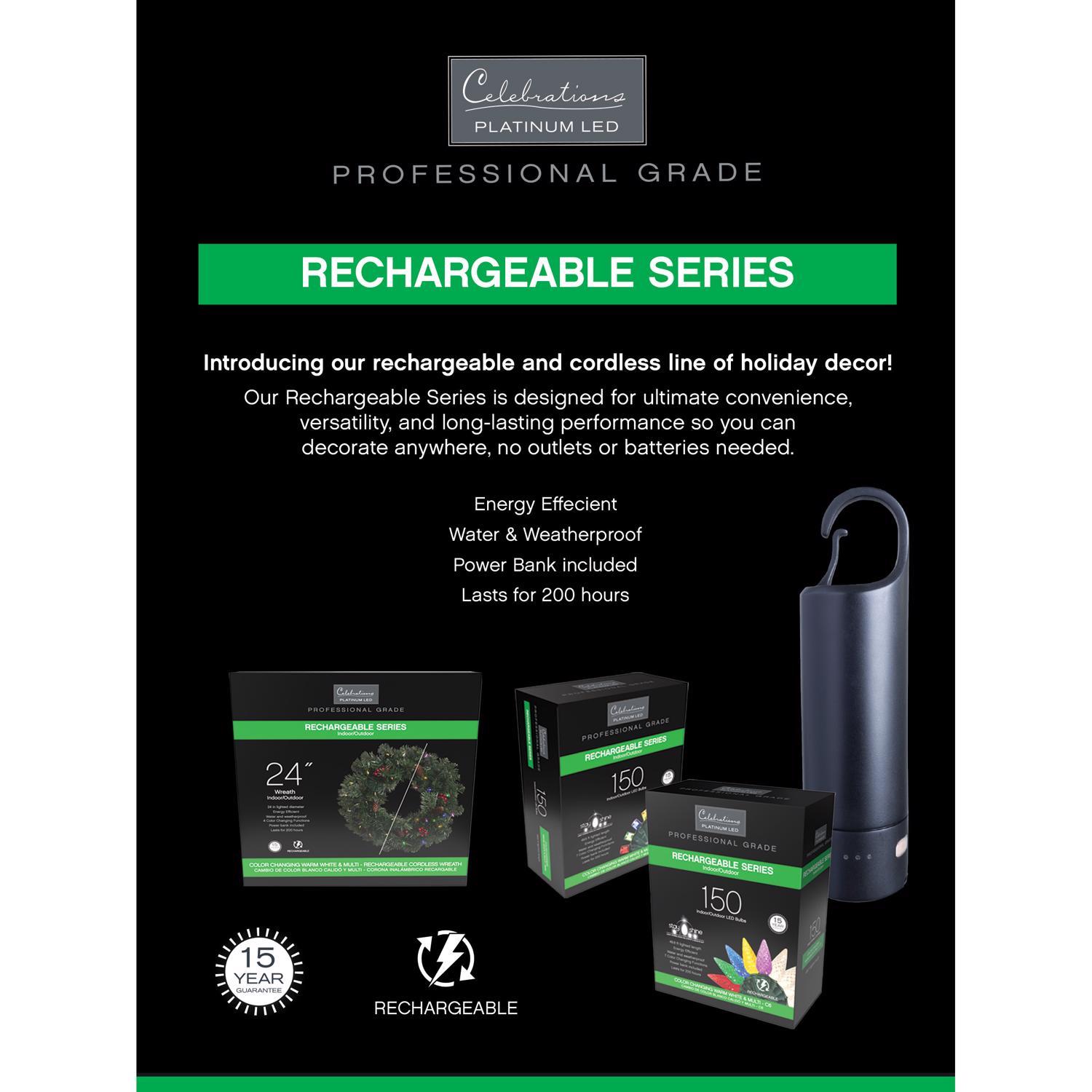 Celebrations LED T5 Multicolored/Warm White 50 ct String Christmas Lights