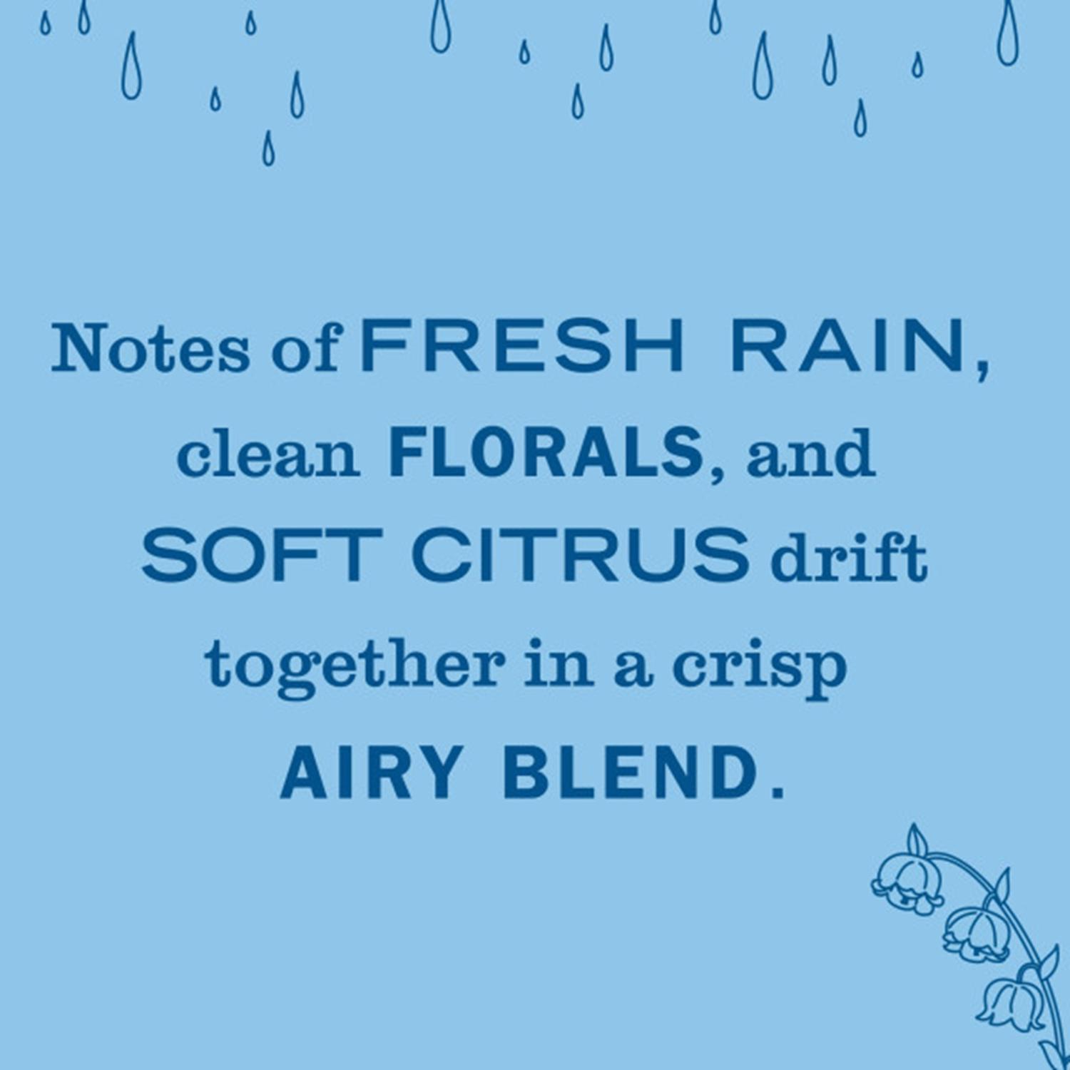 Mrs. Meyer's Clean Day Rain Water Scent Air Freshener Oil Refill 0.67 oz Liquid 2 pk